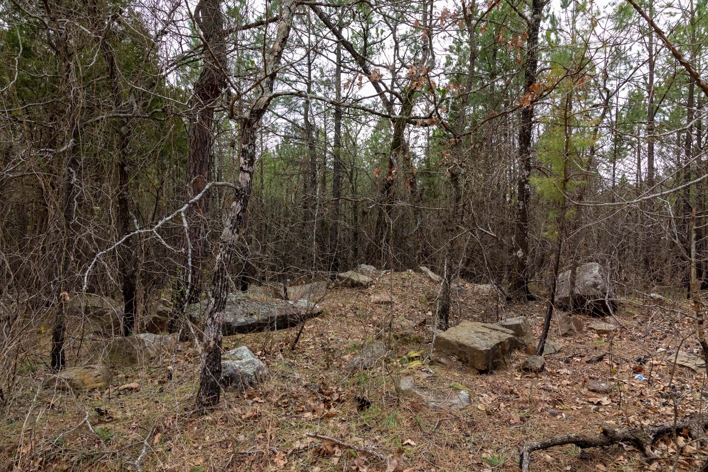 Stone Bridge Phase III Tract 197 photo 12
