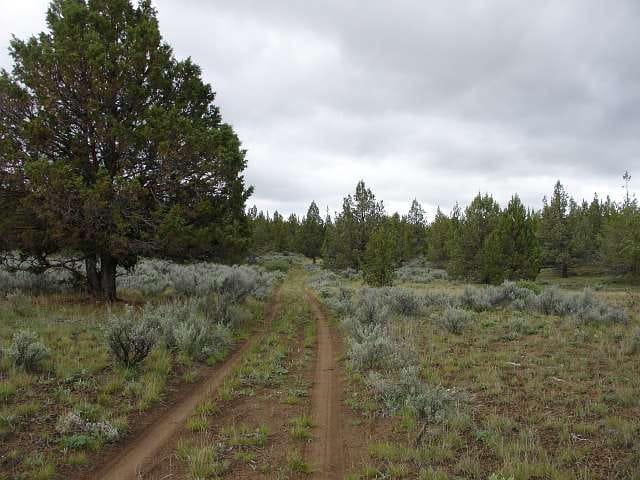 Modoc County Tract 40 photo 1