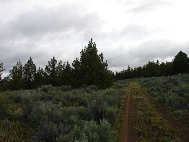 Modoc County Tract 40 photo 2