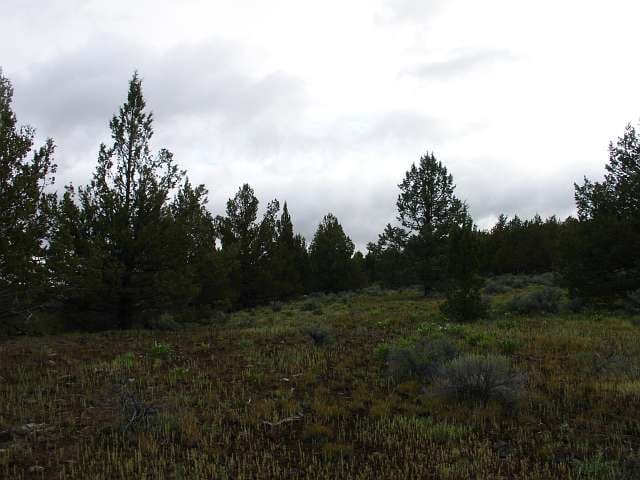 Modoc County Tract 40 photo 3
