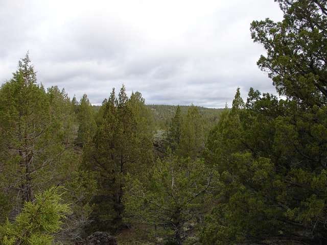 Modoc County Tract 40 photo 4
