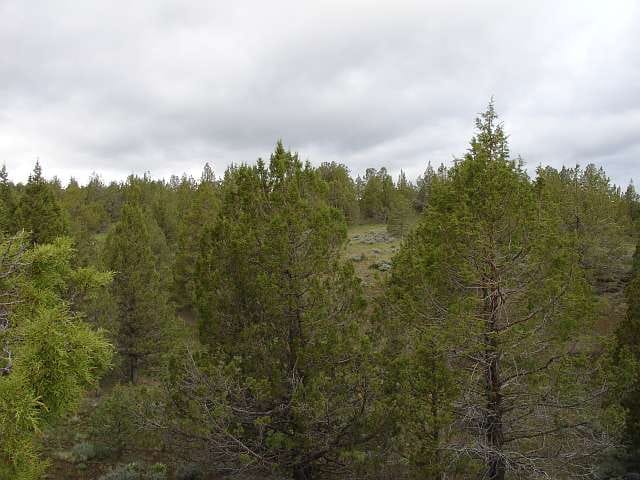 Modoc County Tract 40 photo 5