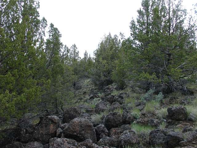 Modoc County Tract 40 photo 6