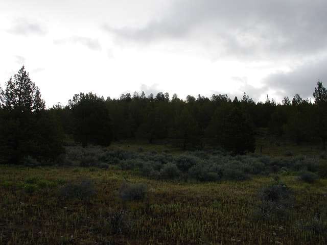 Modoc County Tract 40 photo 7