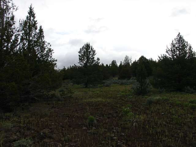 Modoc County Tract 40 photo 8