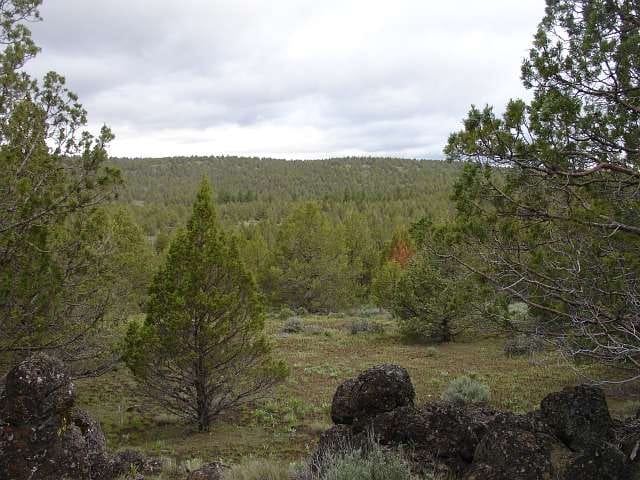 Modoc County Tract 40 photo 12