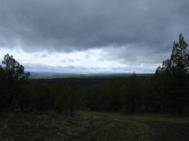 Modoc County Tract 40 photo 13