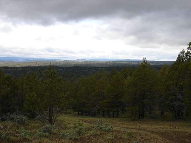 Modoc County Tract 40 photo 14