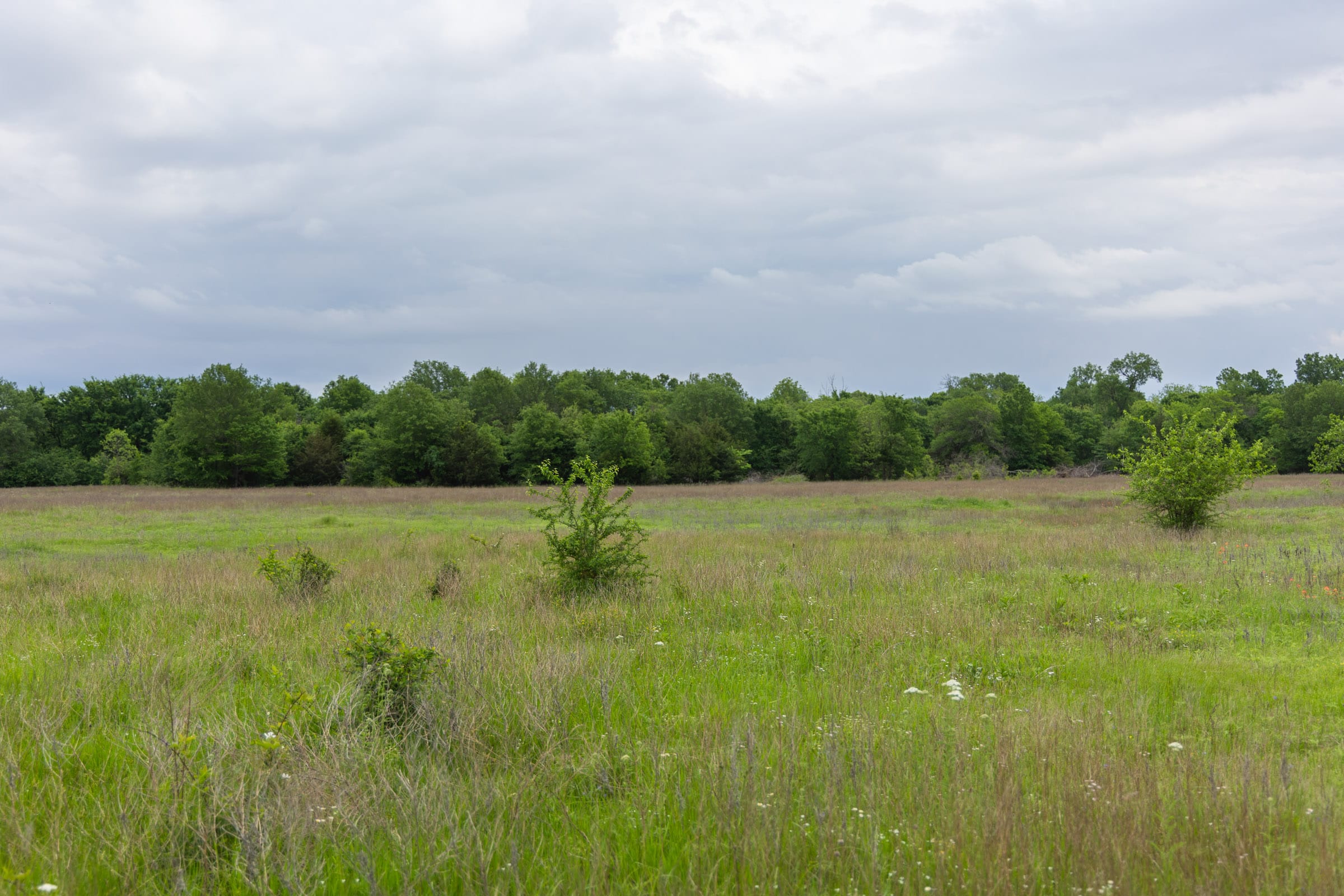 Harmony Hills Tract 29 photo 12
