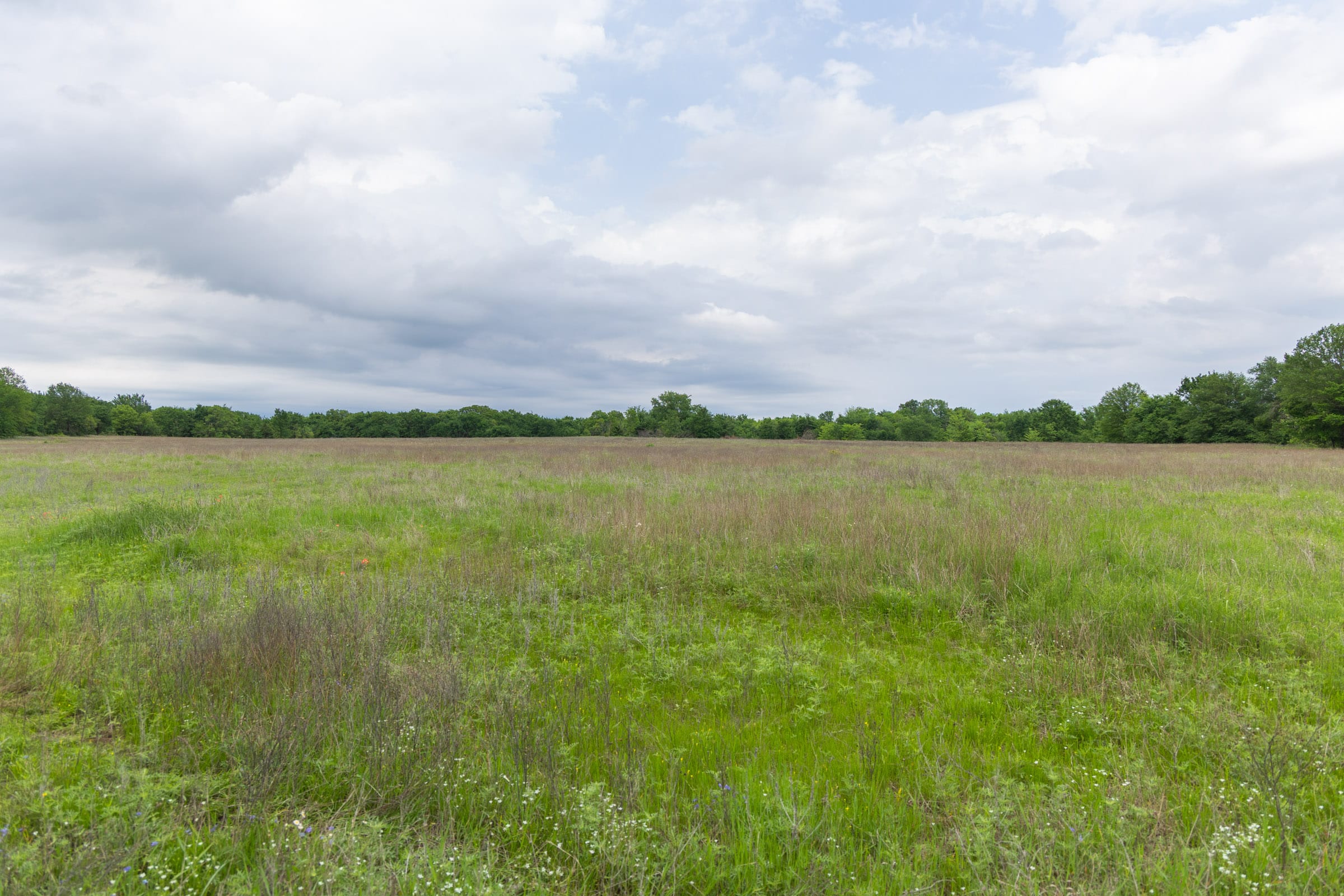 Harmony Hills Tract 29 photo 8