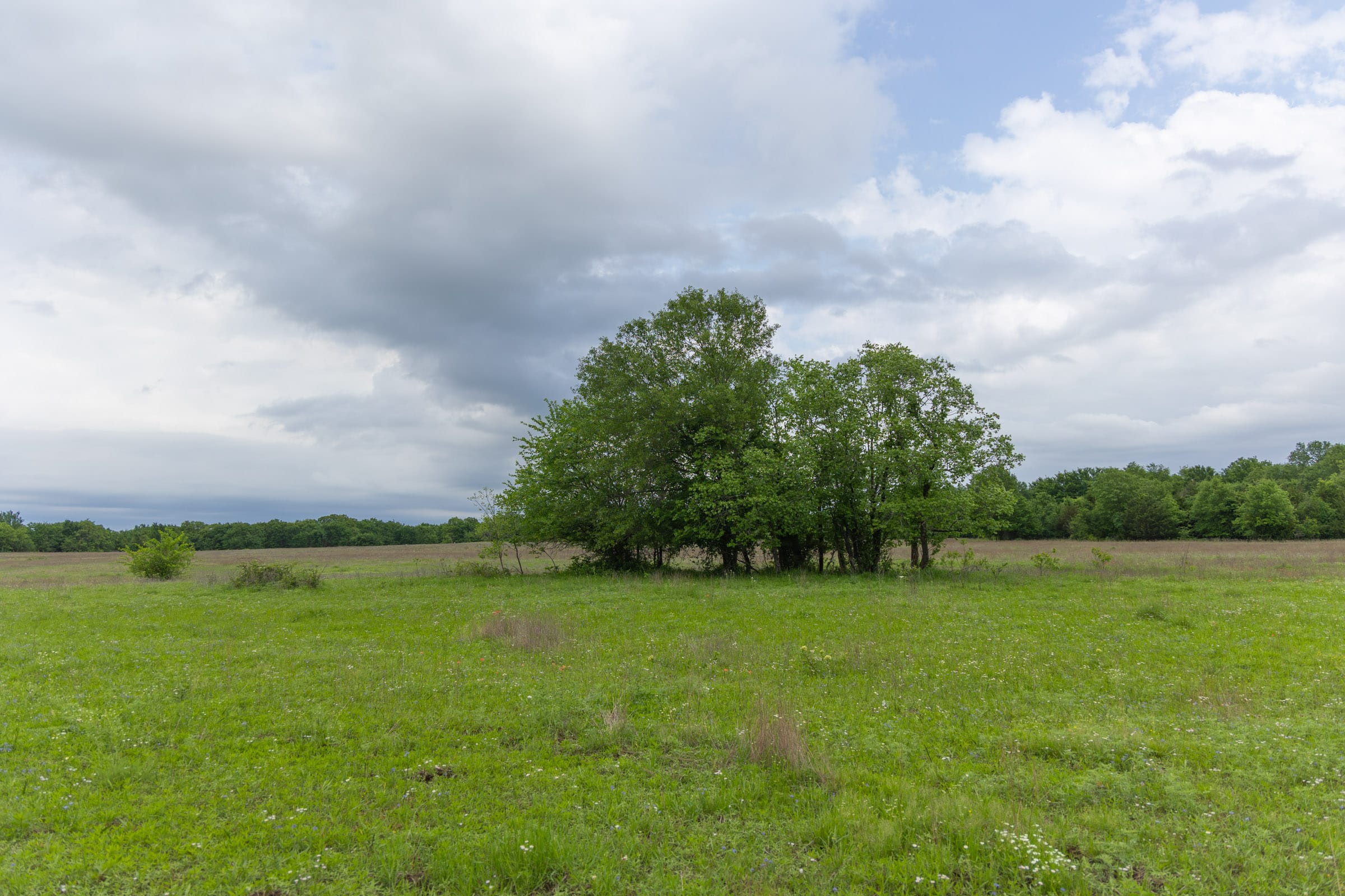 Harmony Hills Tract 29 photo 5