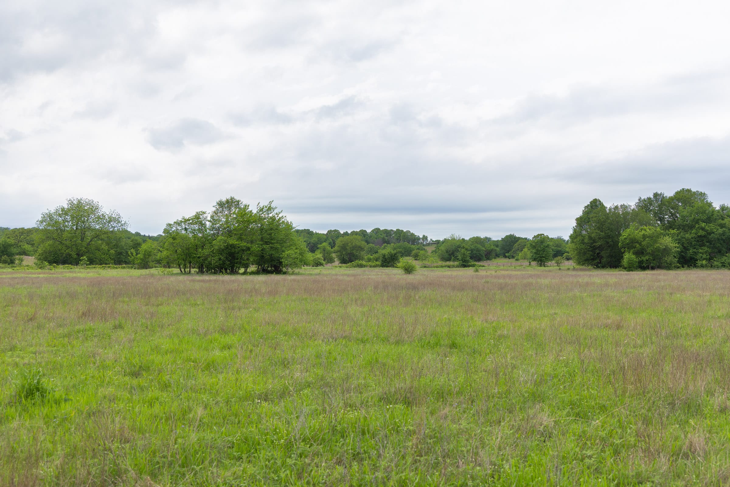 Harmony Hills Tract 29 photo 16