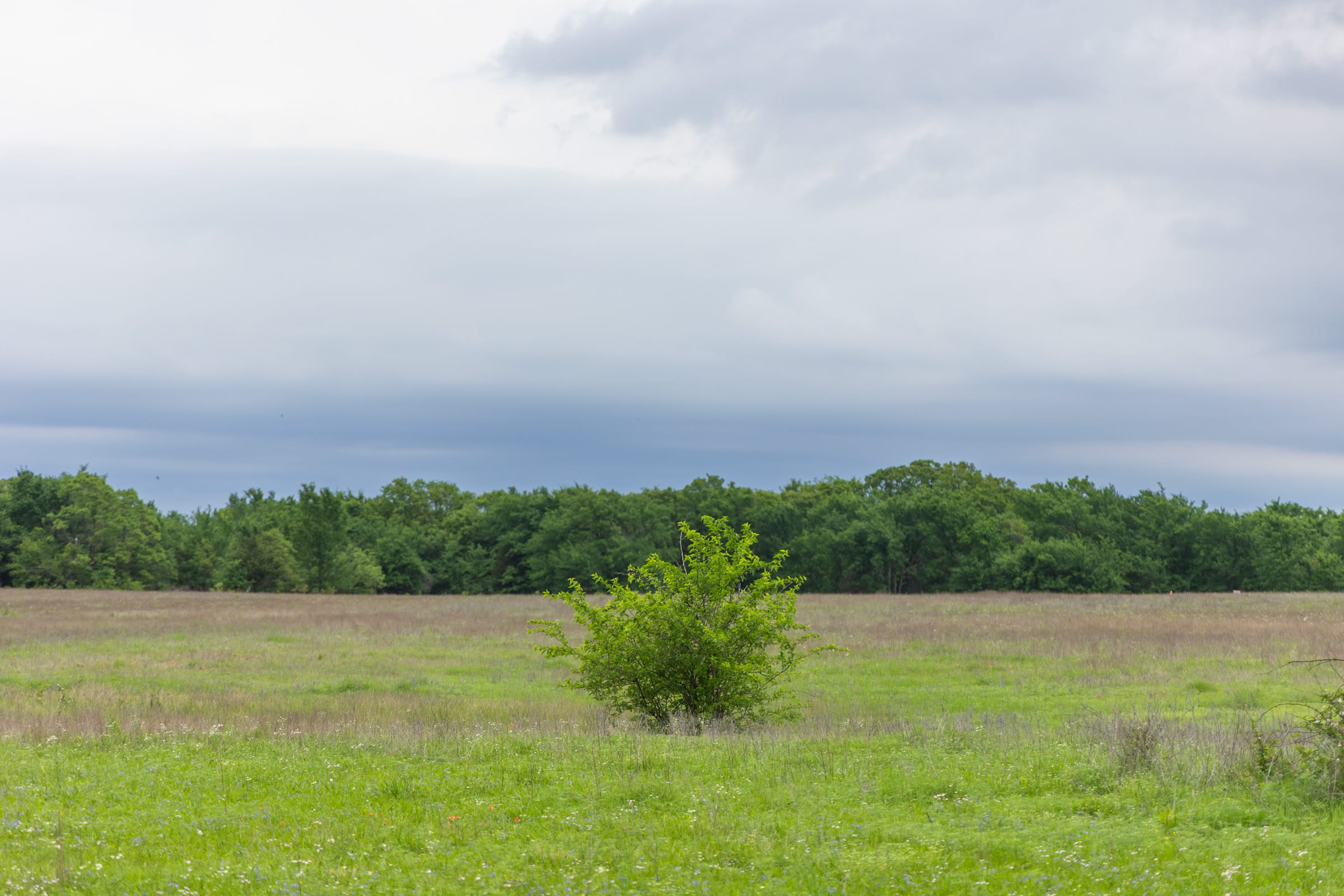 Harmony Hills Tract 29 photo 10