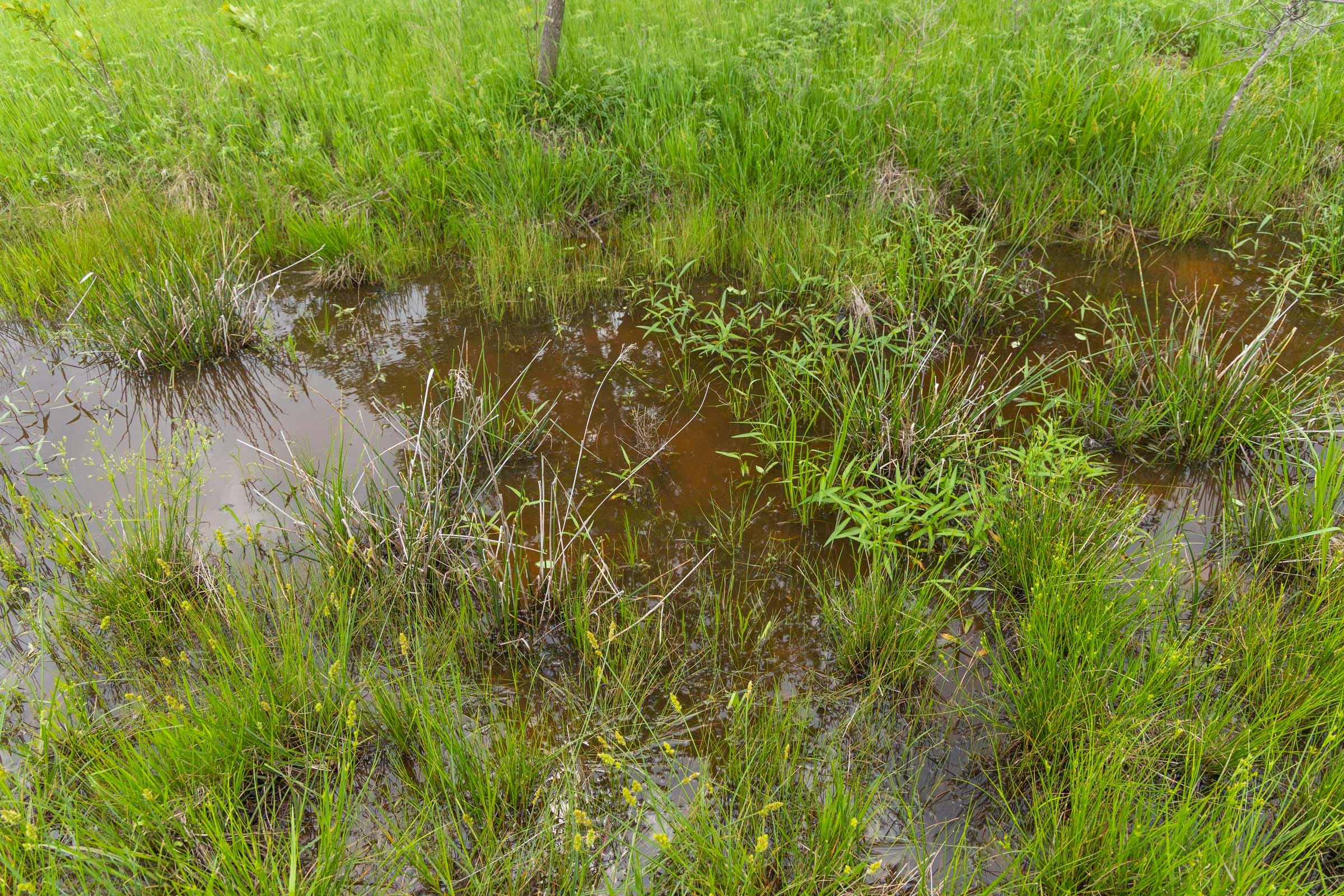 Harmony Hills Tract 29 photo 15