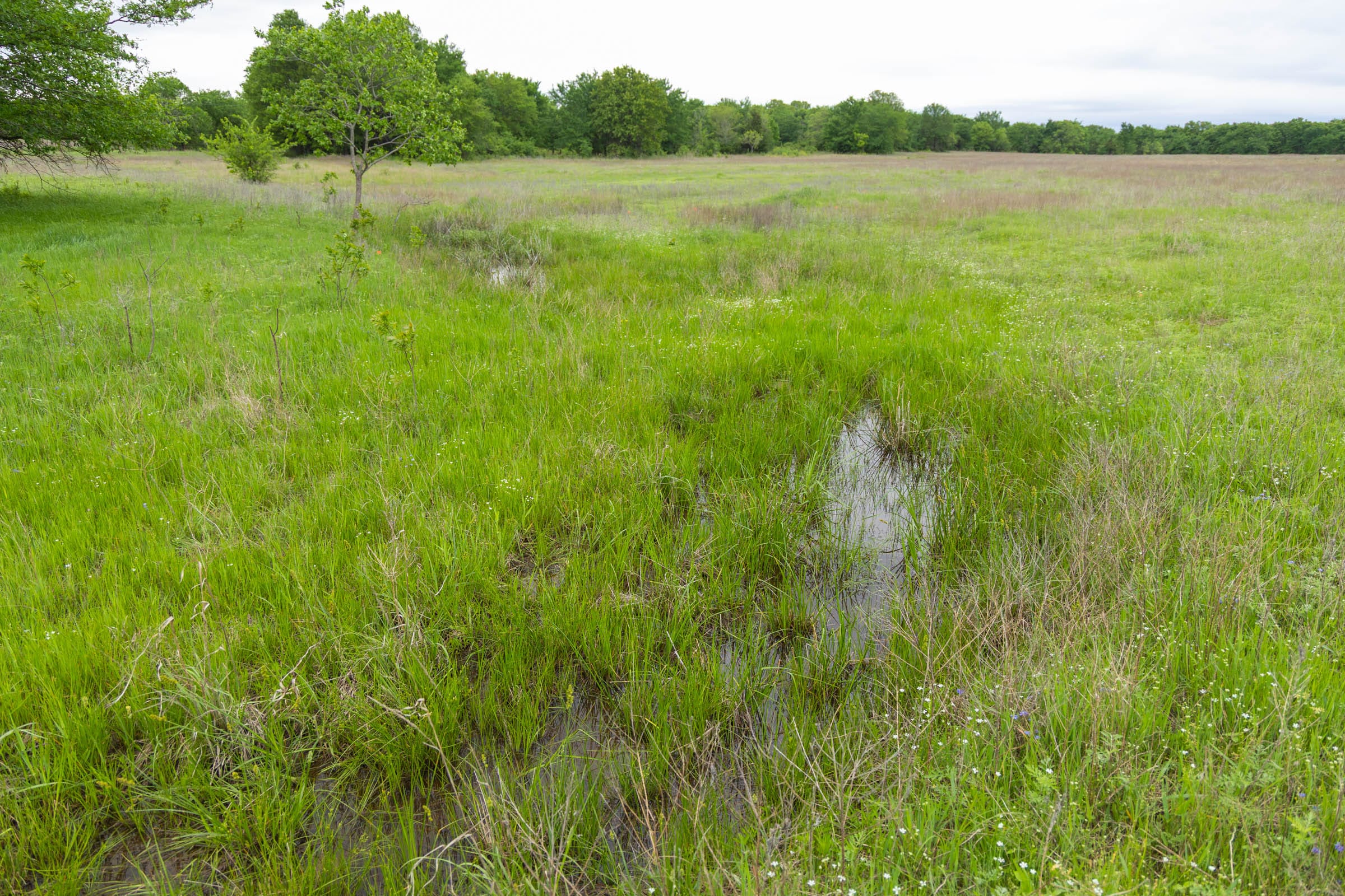 Harmony Hills Tract 29 photo 14