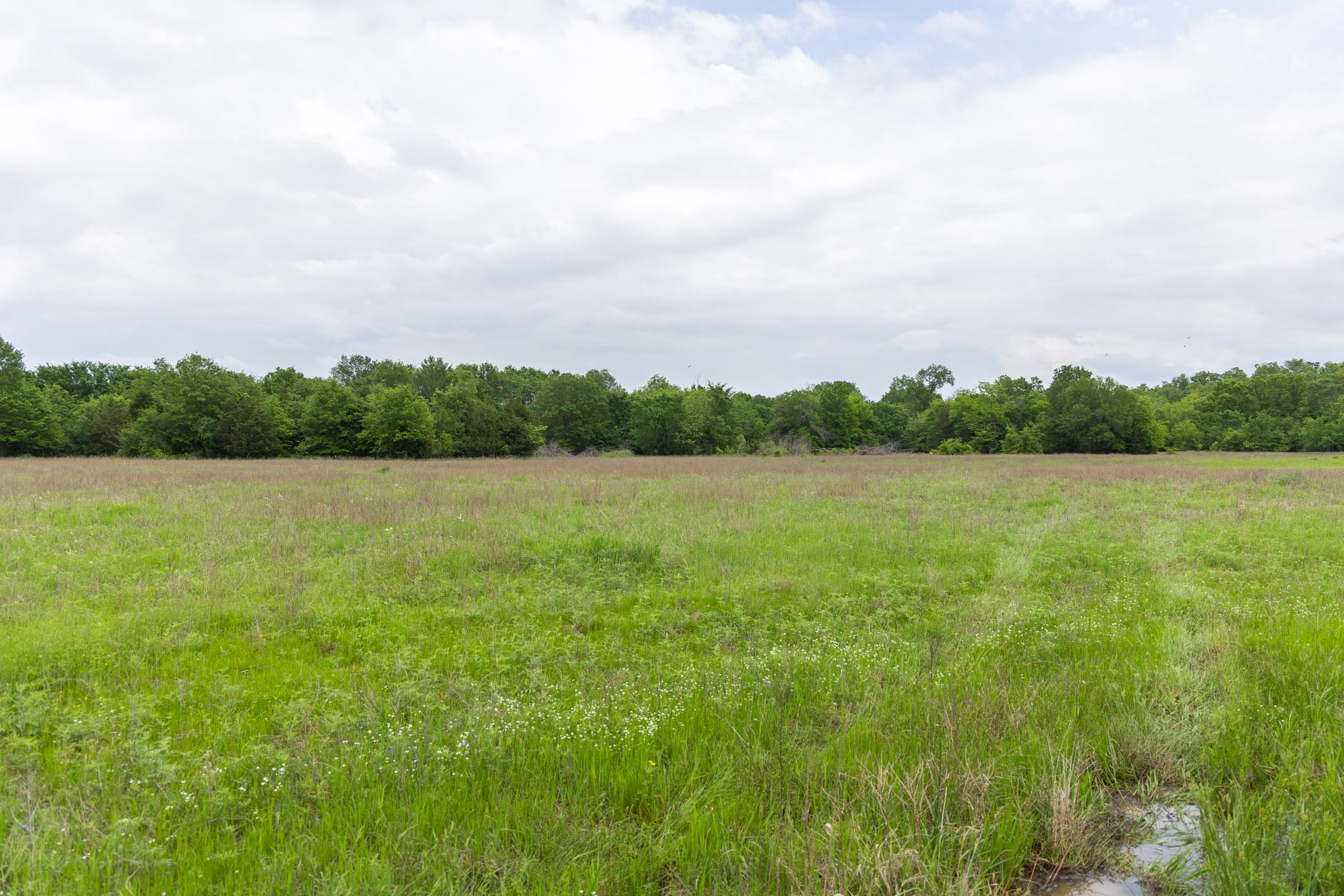 Harmony Hills Tract 29 photo 7
