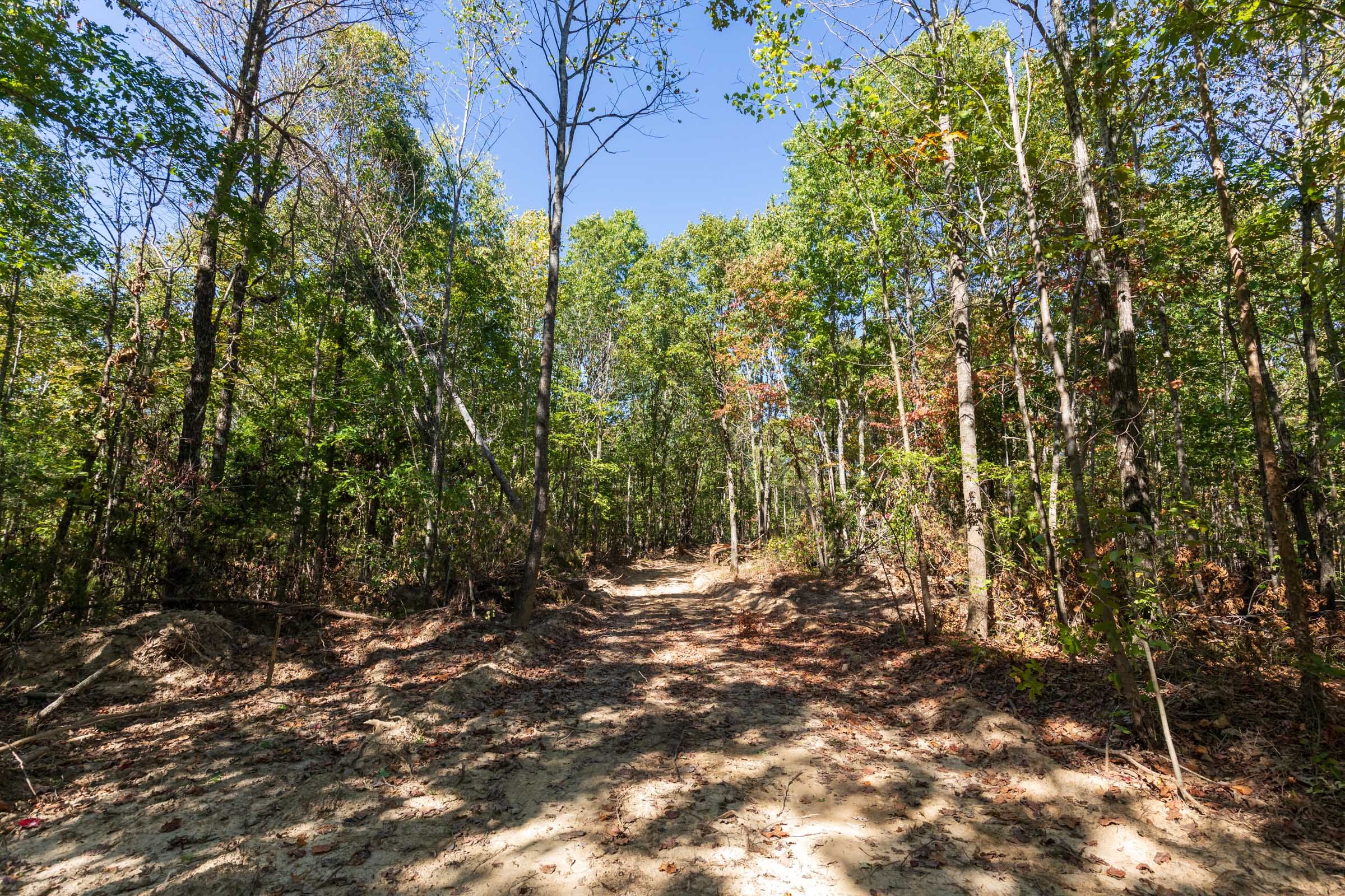 Bear Brook Tract 16 photo 6