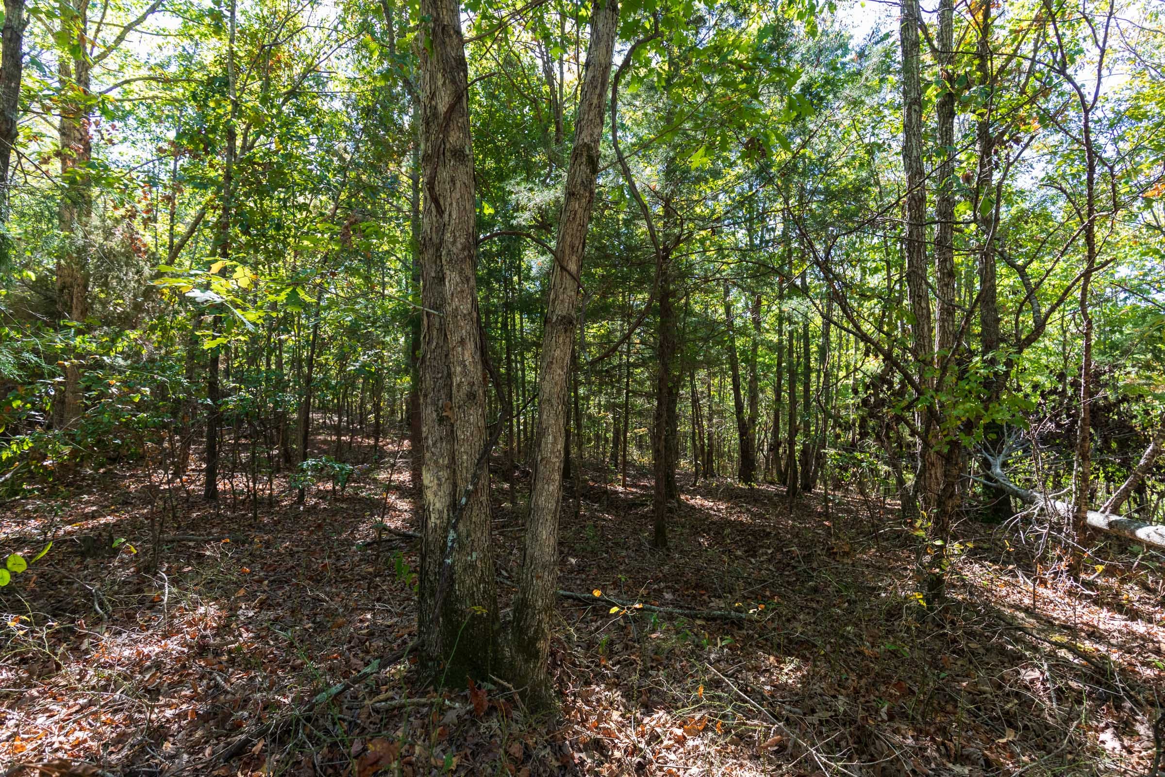 Bear Brook Tract 16 photo 4