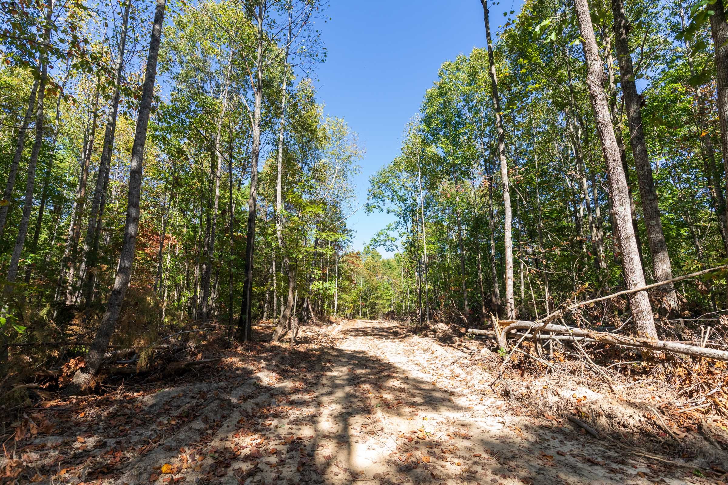 Bear Brook Tract 16 photo 1