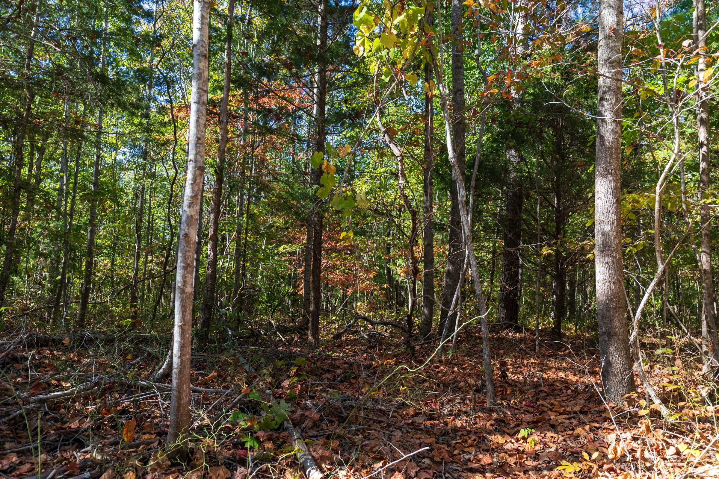 Bear Brook Tract 16 photo 10