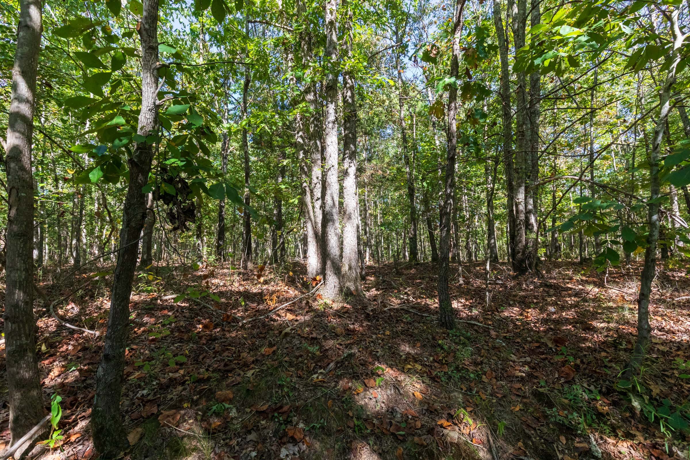 Bear Brook Tract 16 photo 9