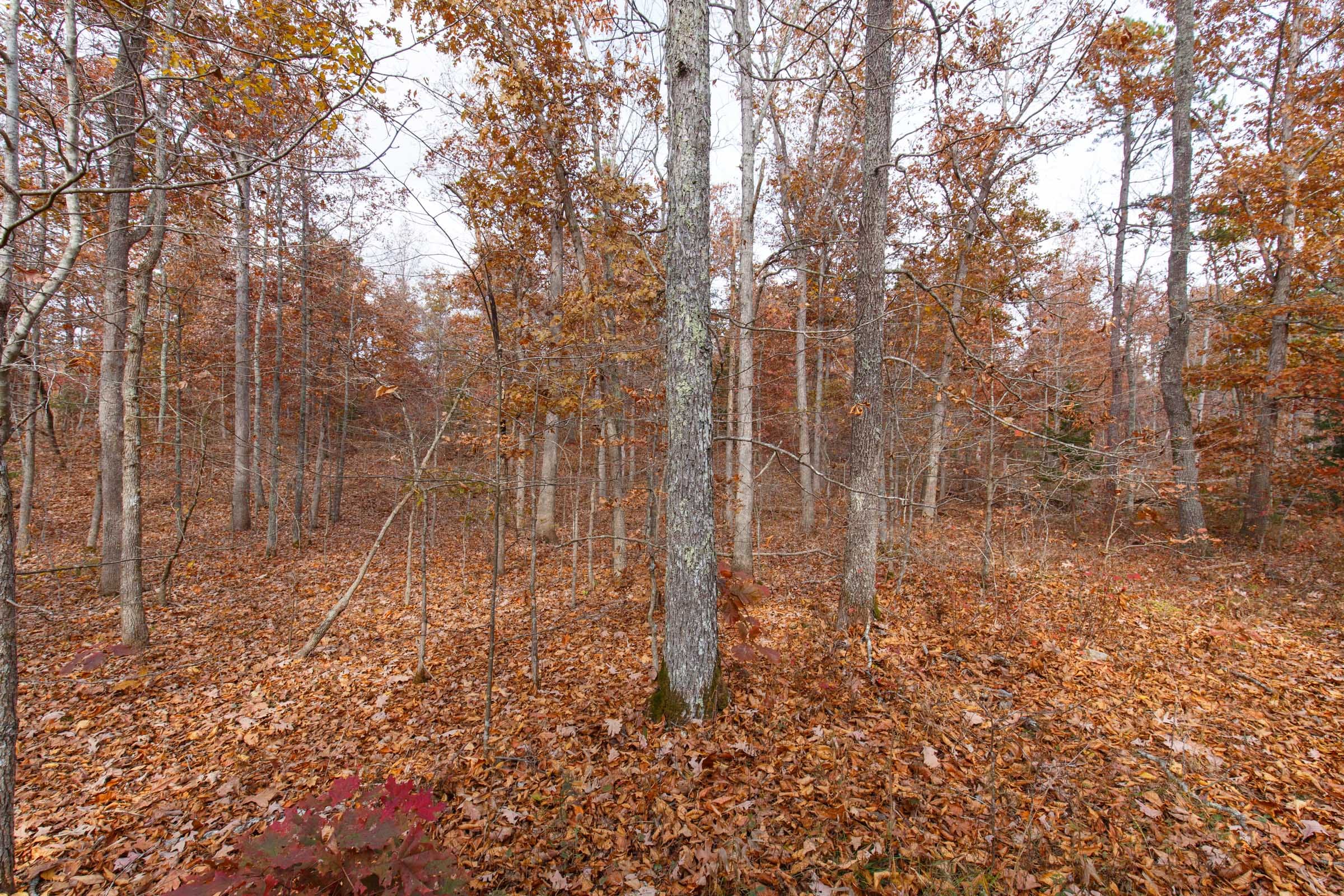 Hawkcrest Tract 48 photo 2