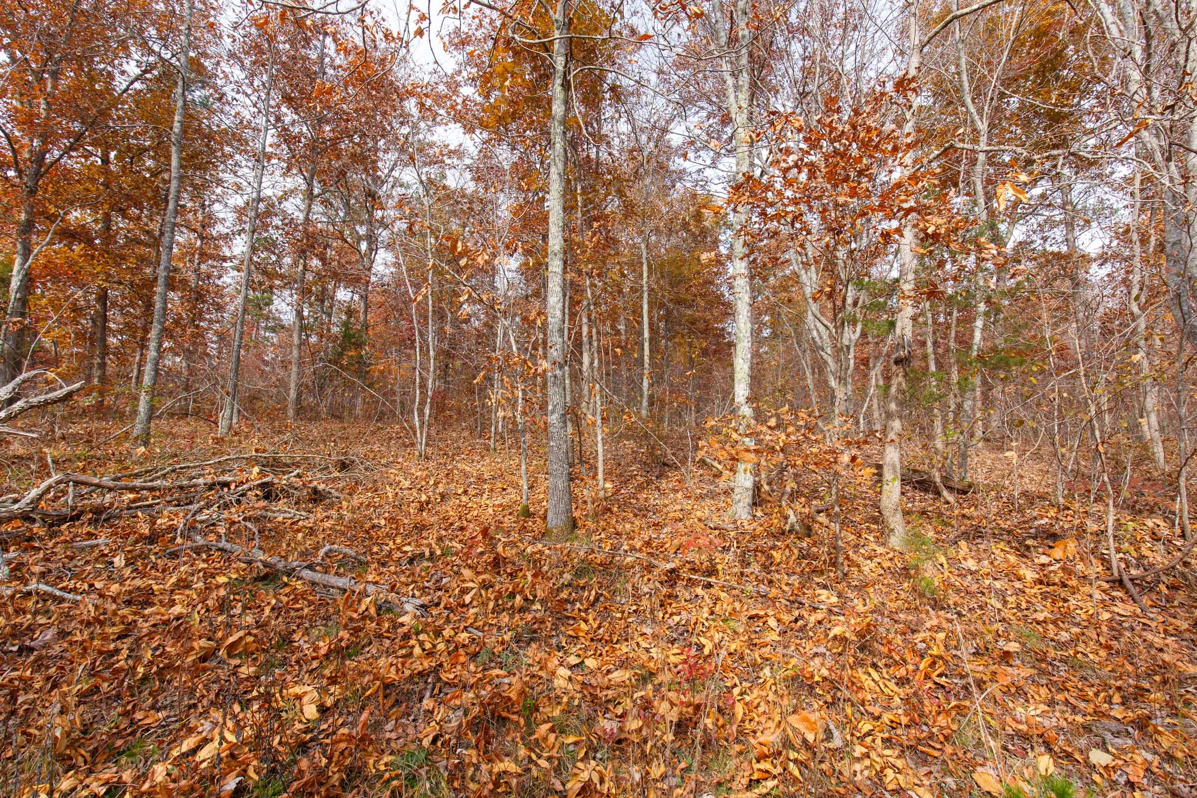 Hawkcrest Tract 48 photo 3