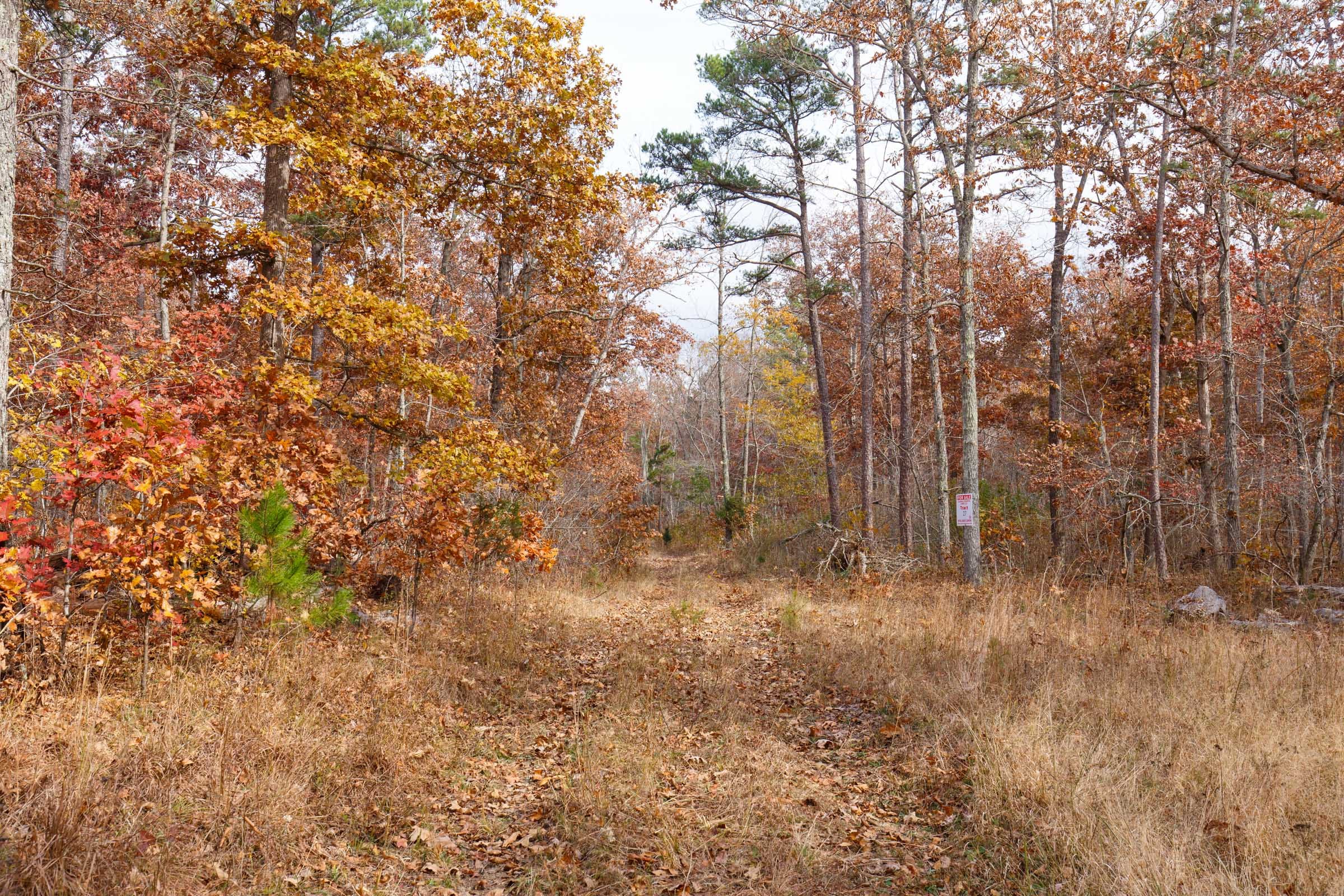 Hawkcrest Tract 48 photo 1