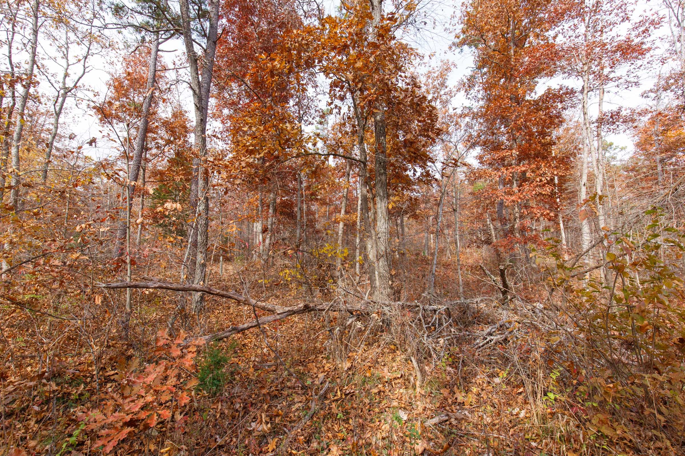 Hawkcrest Tract 48 photo 4