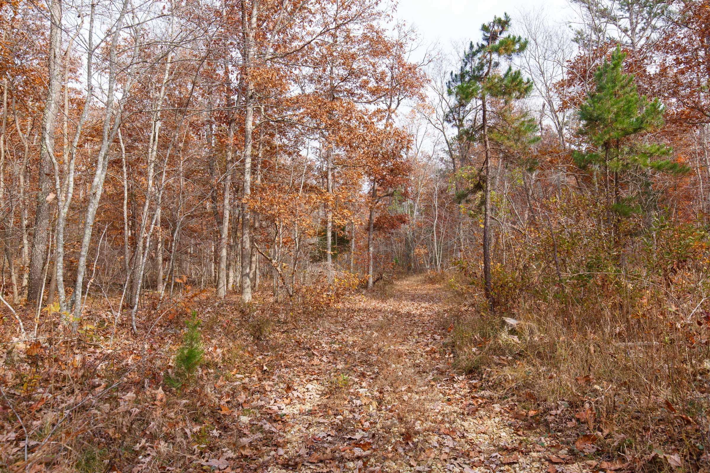 Hawkcrest Tract 48 photo 5
