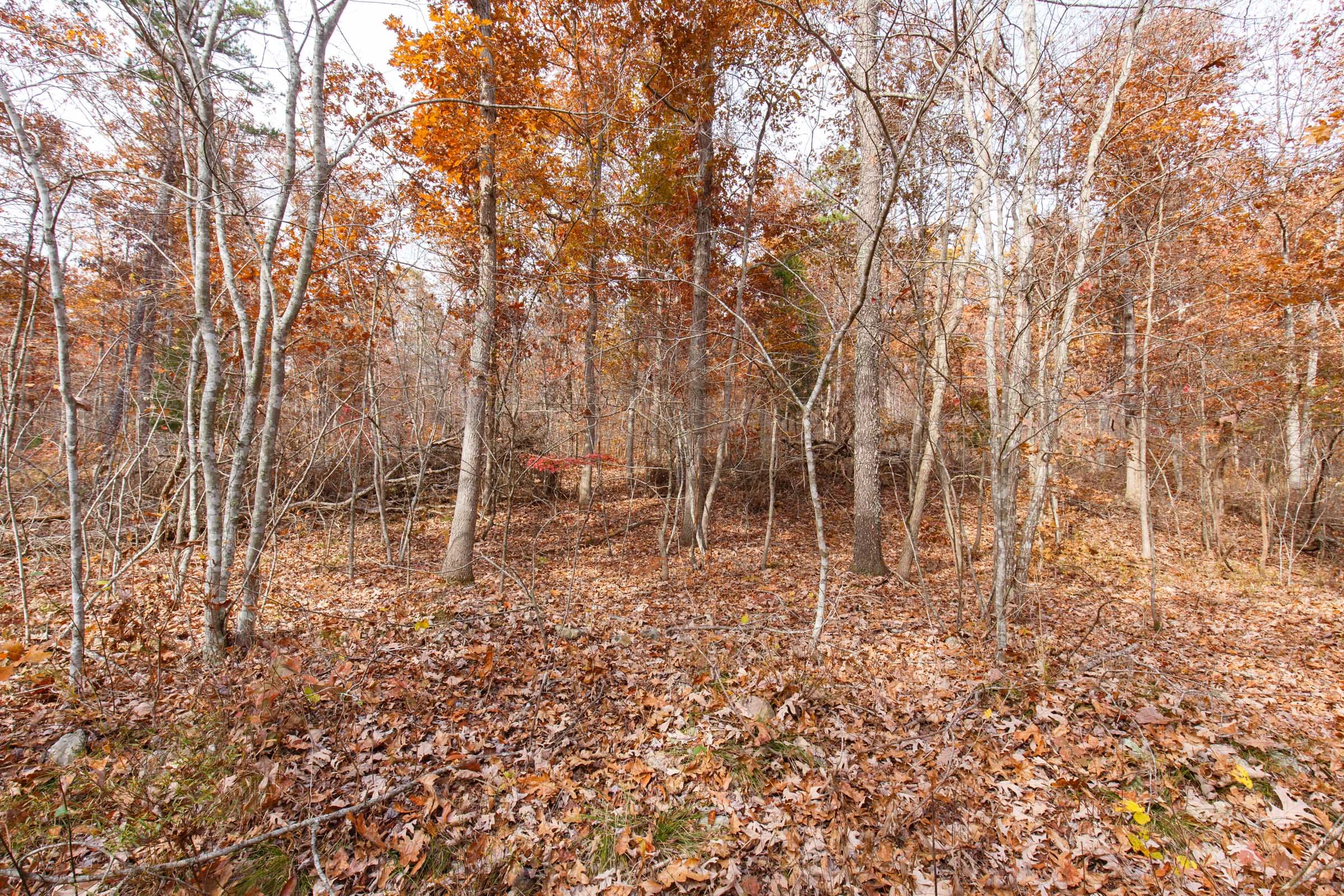 Hawkcrest Tract 48 photo 7