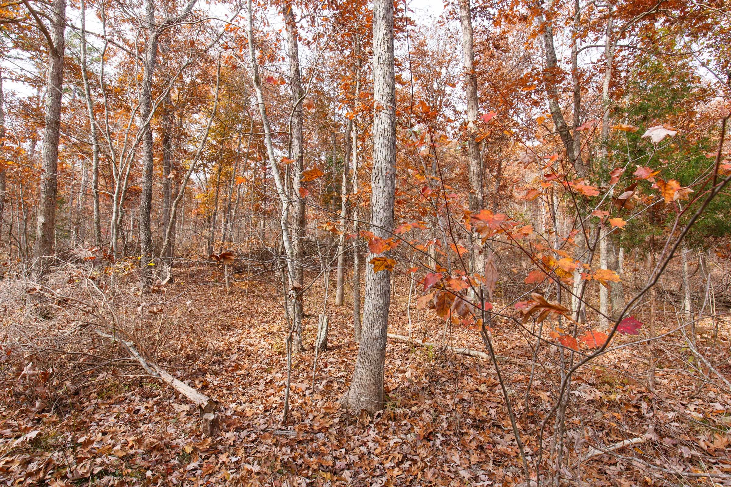 Hawkcrest Tract 48 photo 6