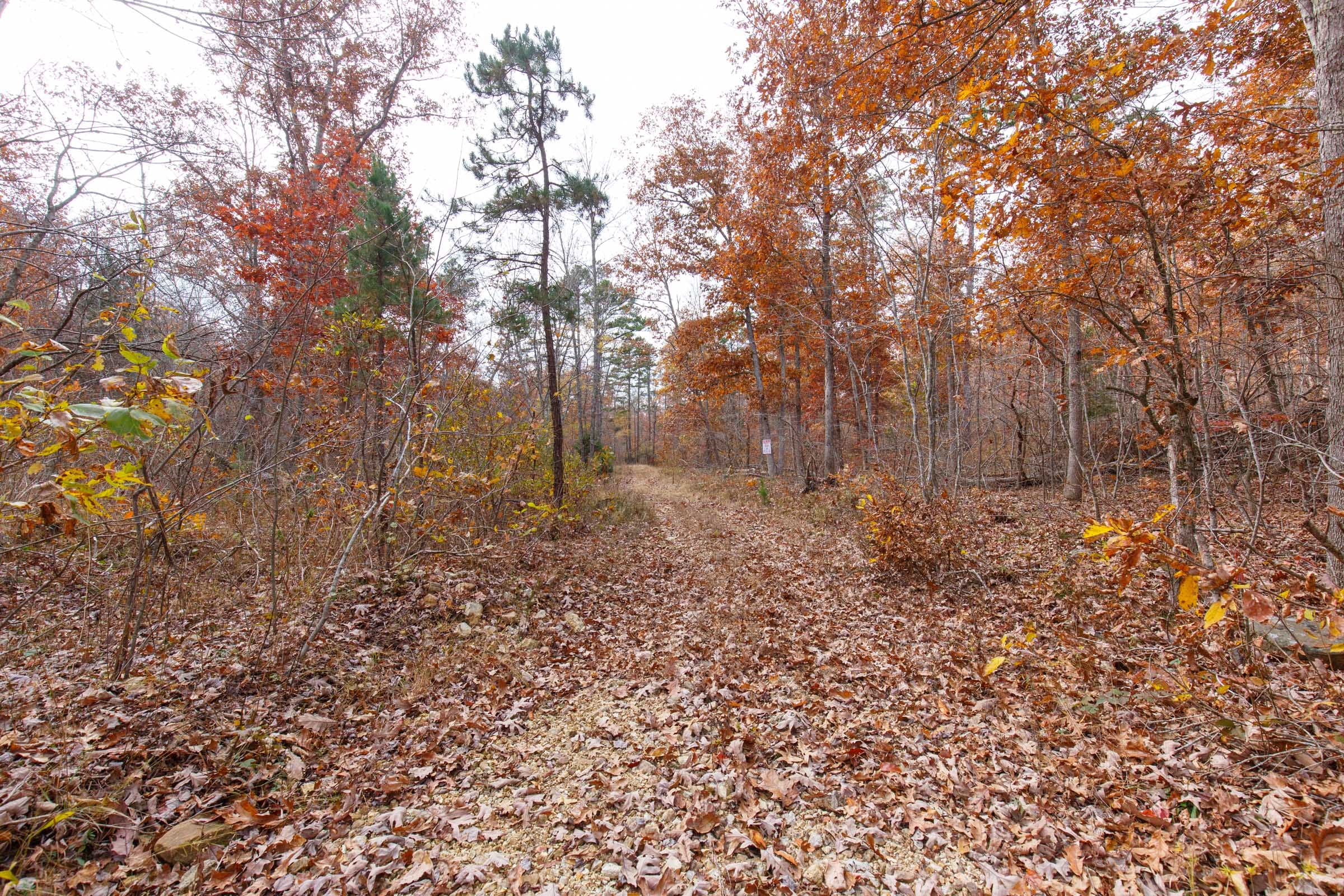 Hawkcrest Tract 48 photo 9