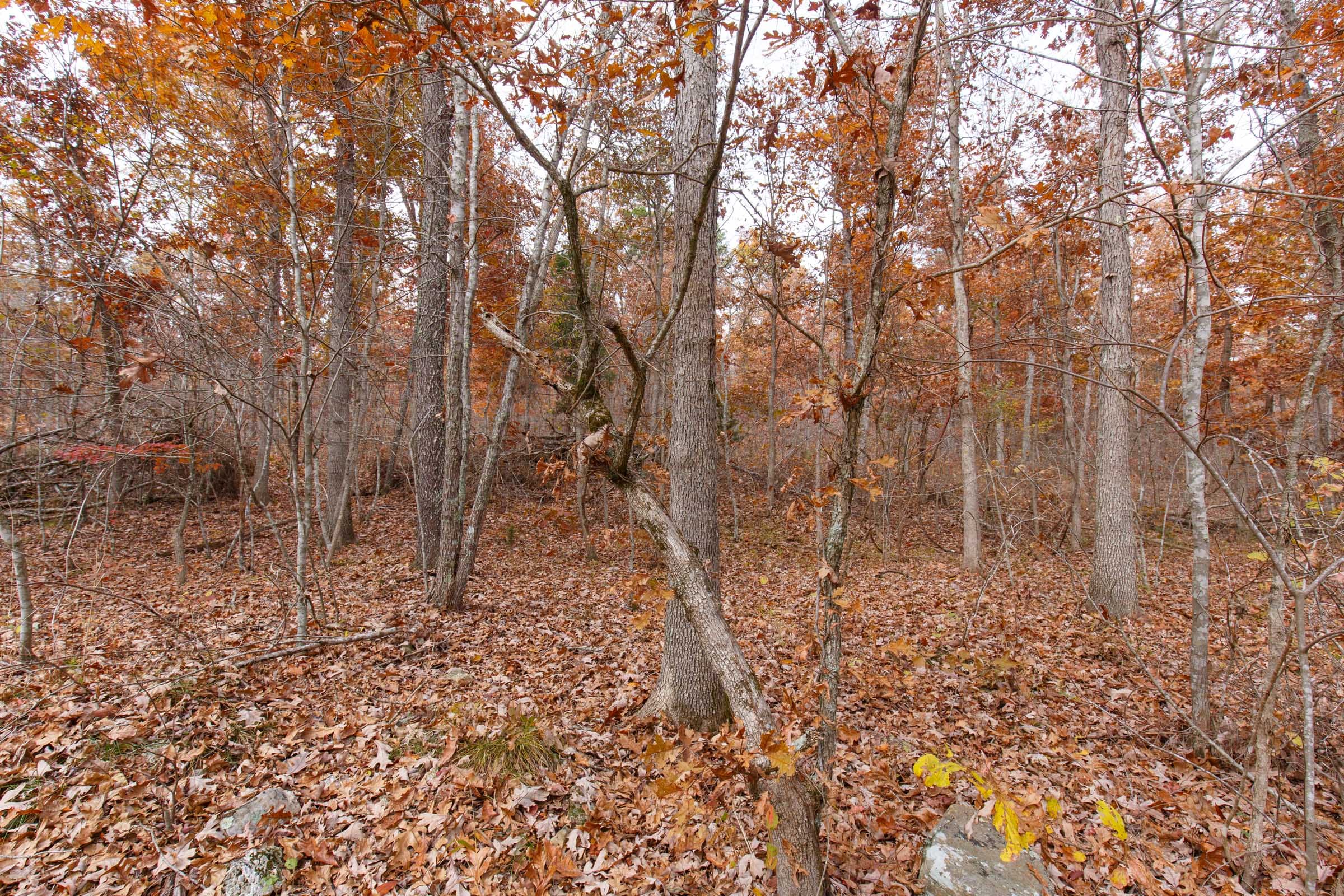 Hawkcrest Tract 48 photo 8