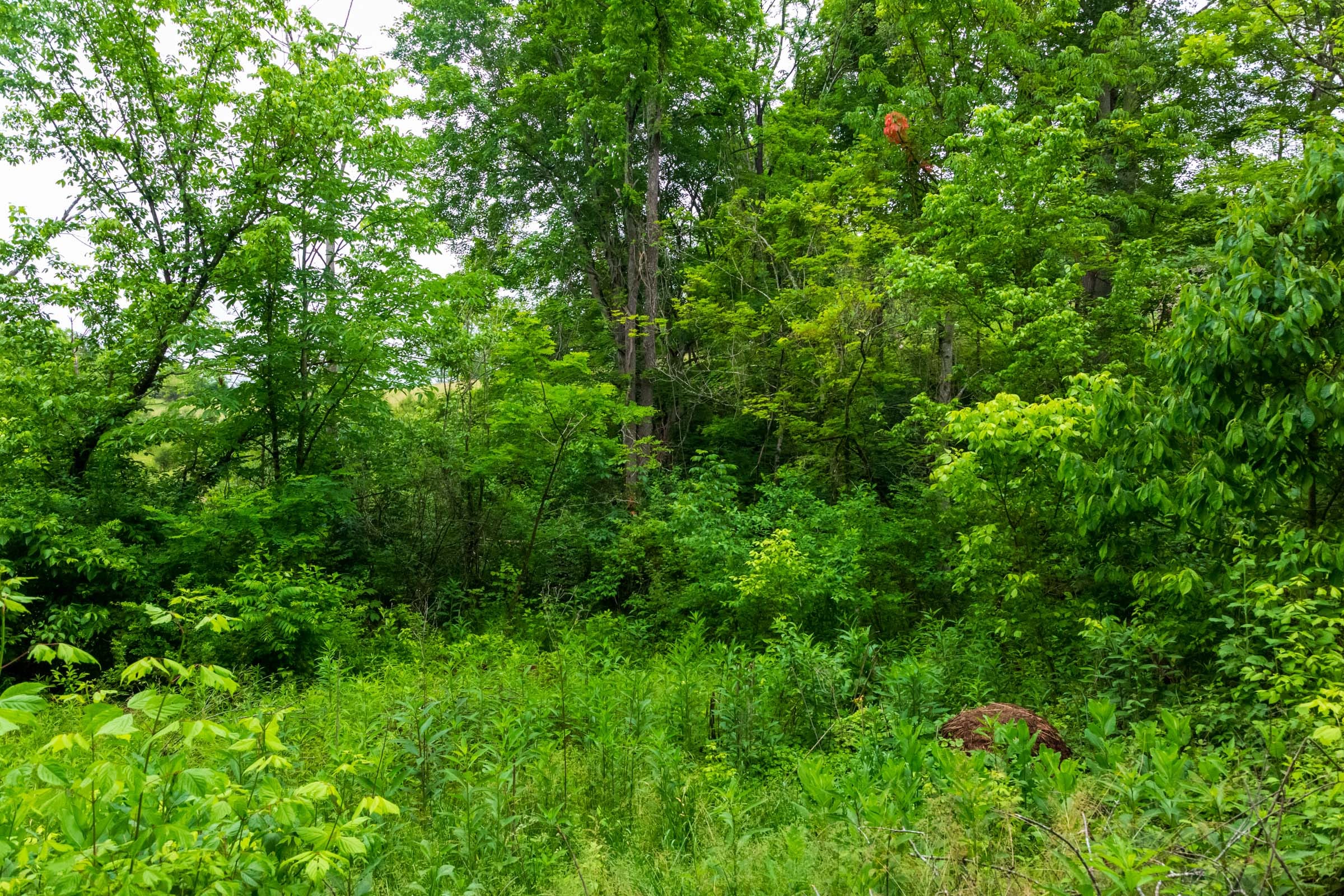 Bluffview Tract 14 photo 1