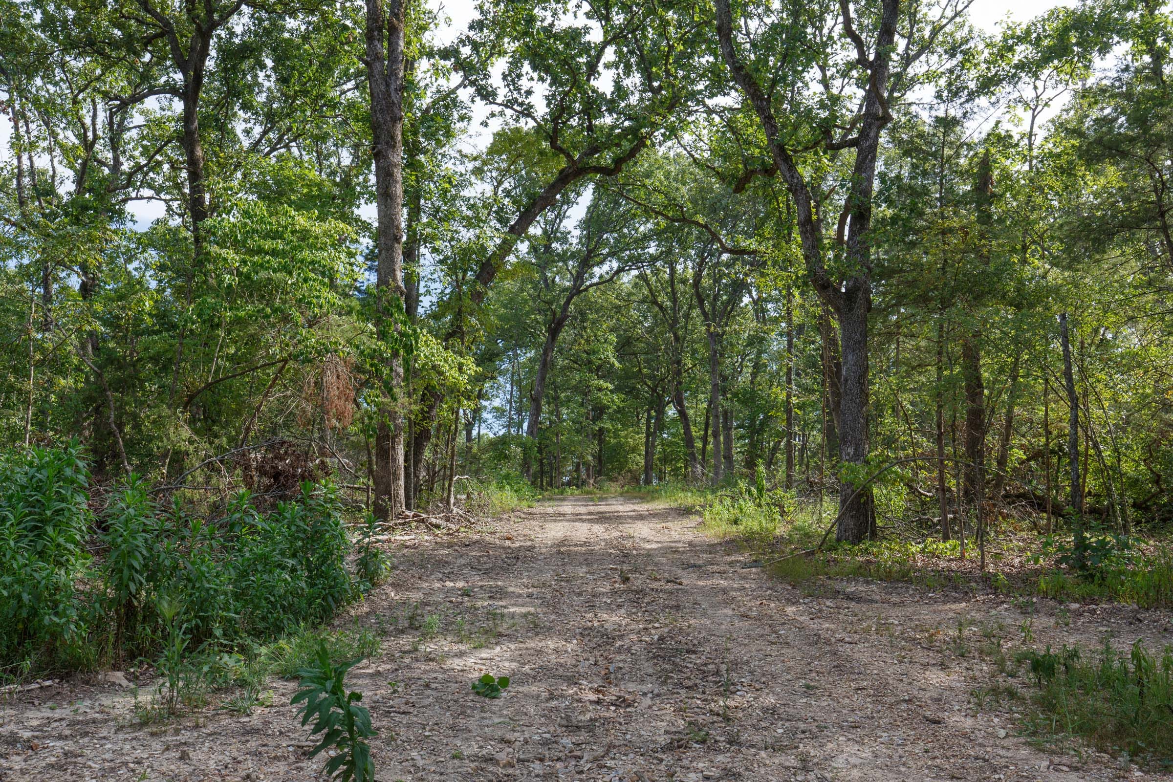 Wildwood Tract 23 photo 3
