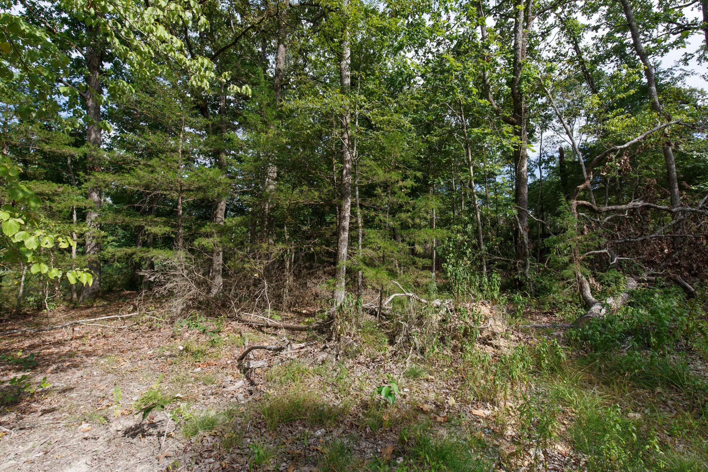 Wildwood Tract 23 photo 2