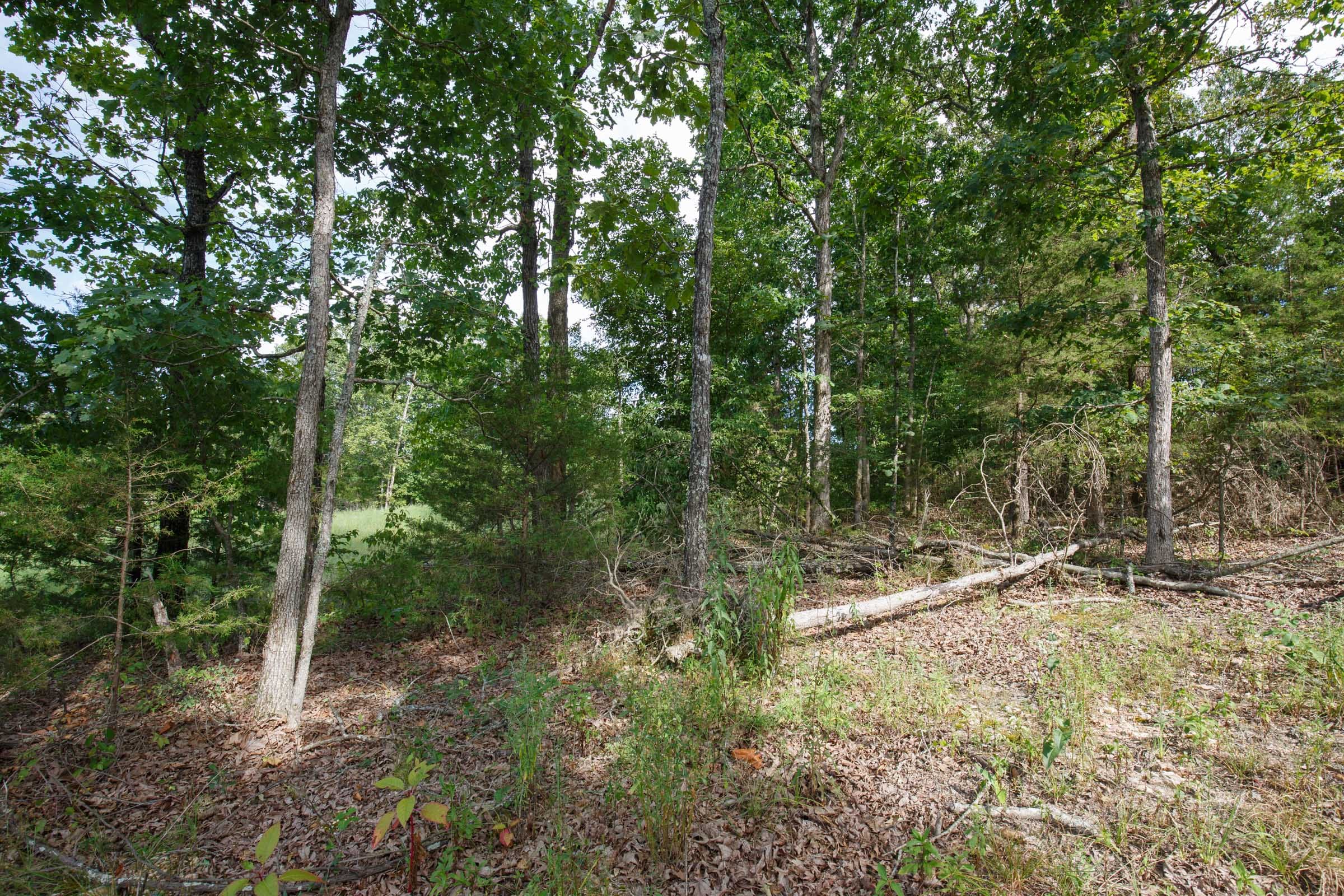 Wildwood Tract 23 photo 6