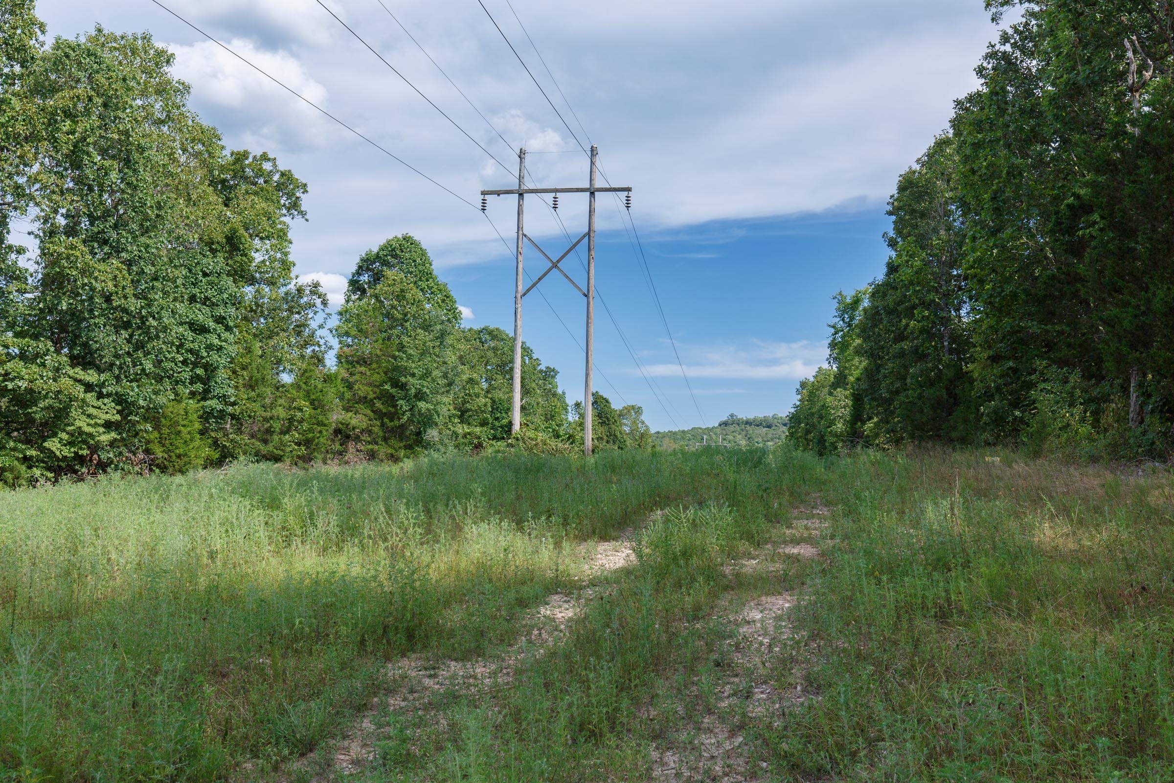 Wildwood Tract 23 photo 1