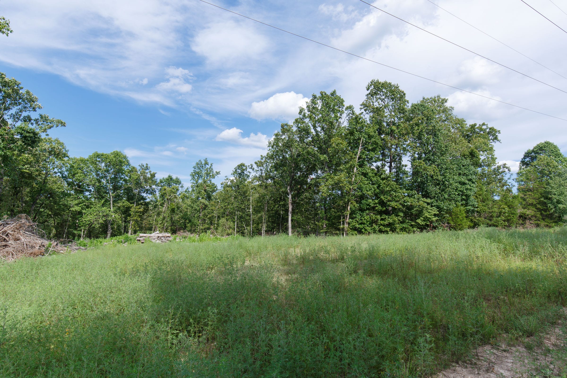 Wildwood Tract 23 photo 4