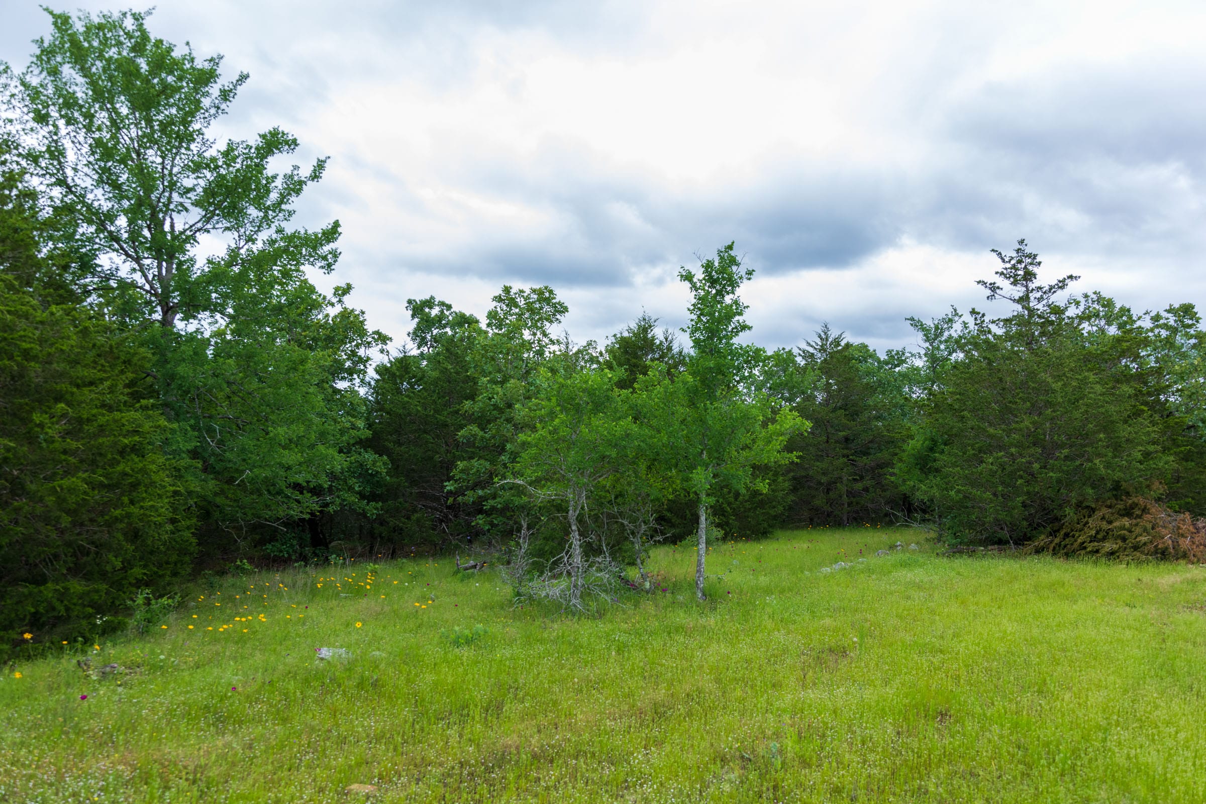 Falcon Crest Tract 32 photo 2