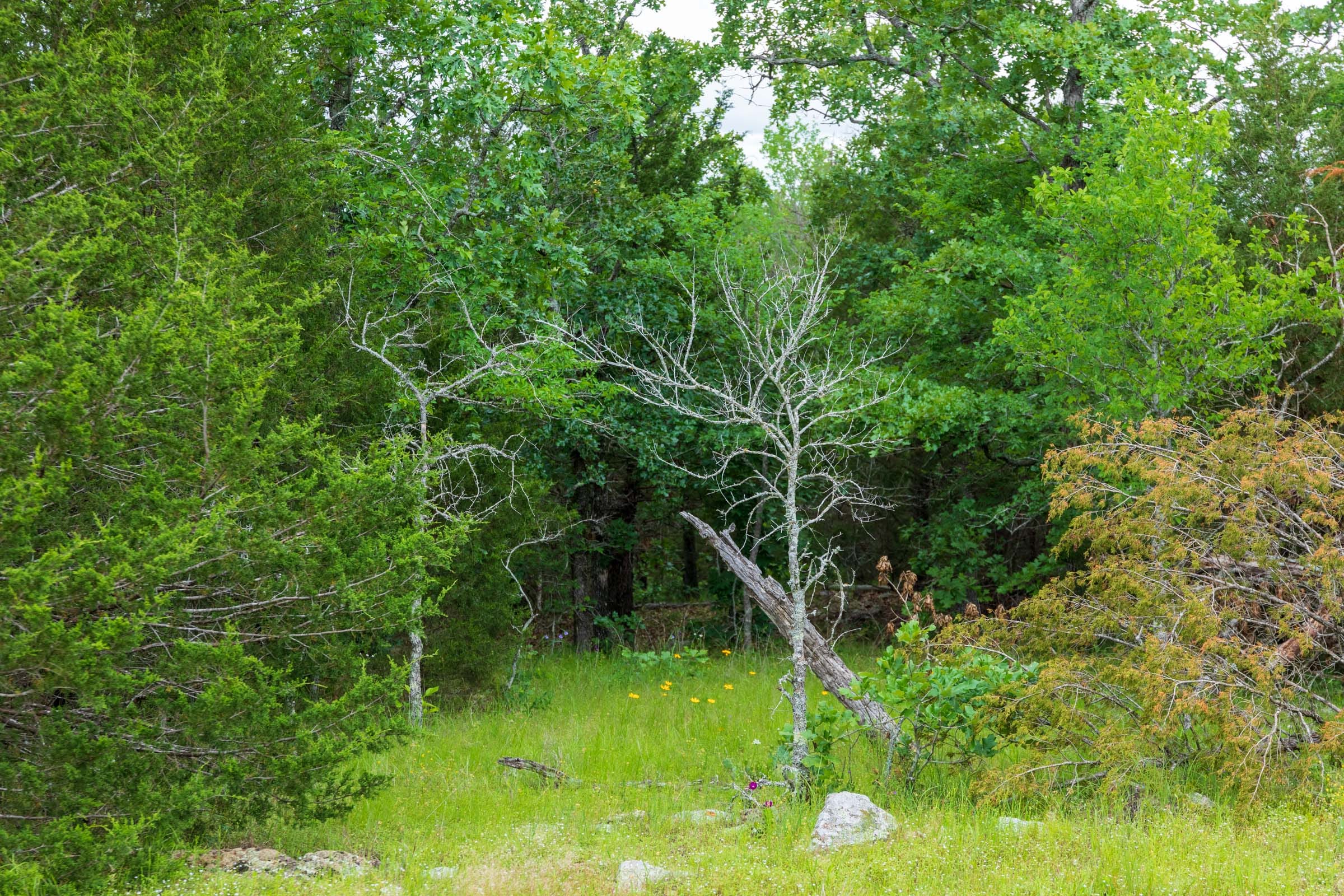 Falcon Crest Tract 32 photo 3