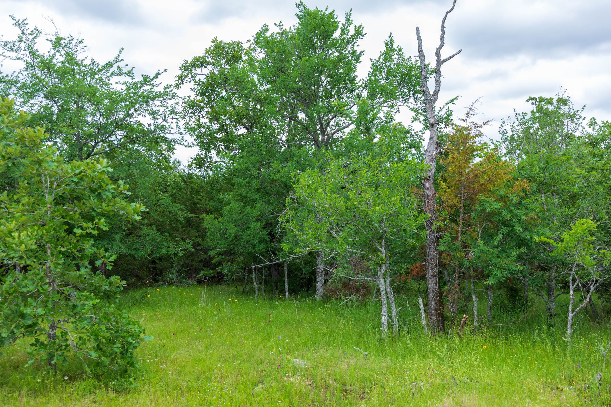 Falcon Crest Tract 32 photo 5