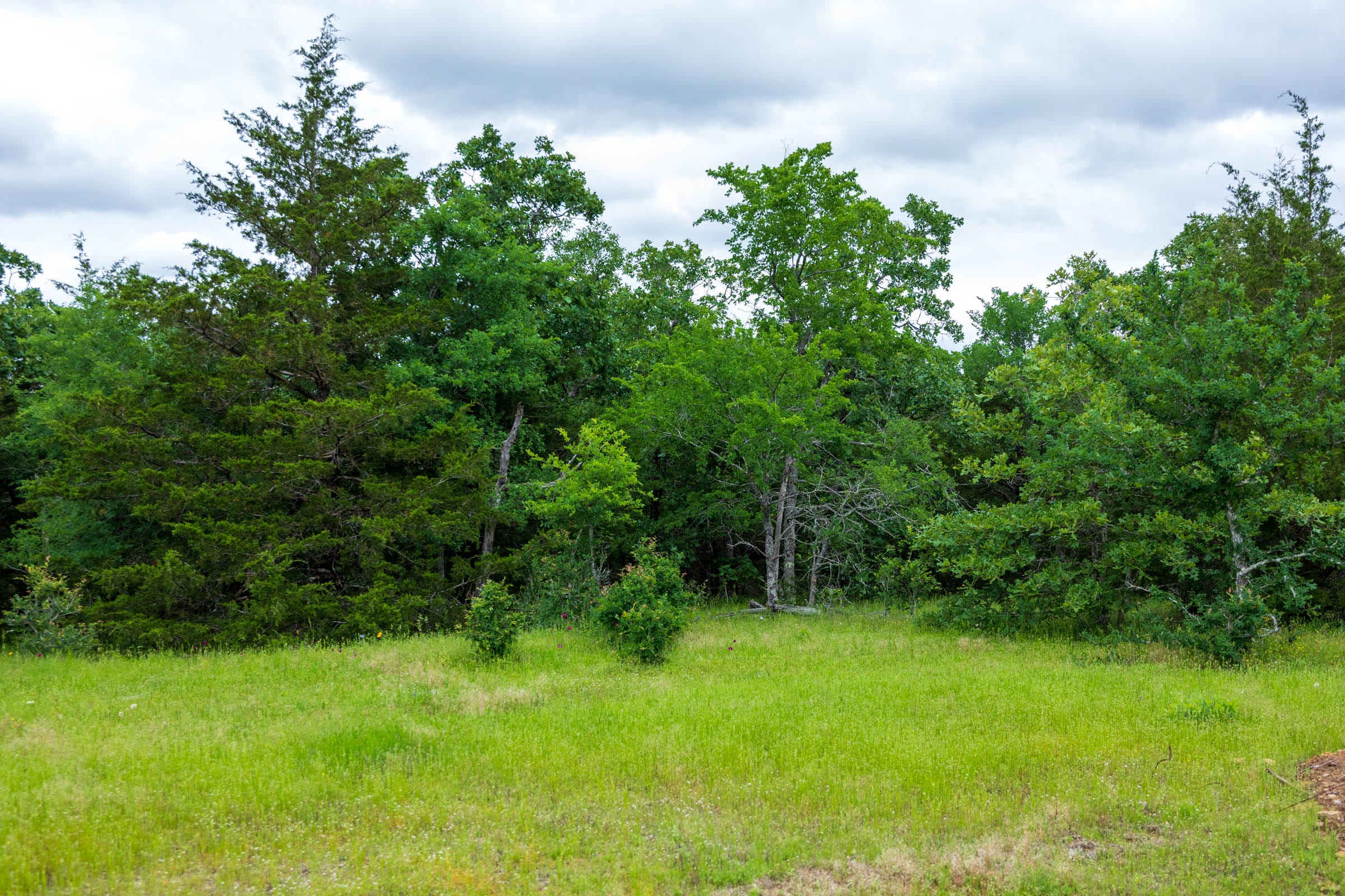 Falcon Crest Tract 32 photo 6