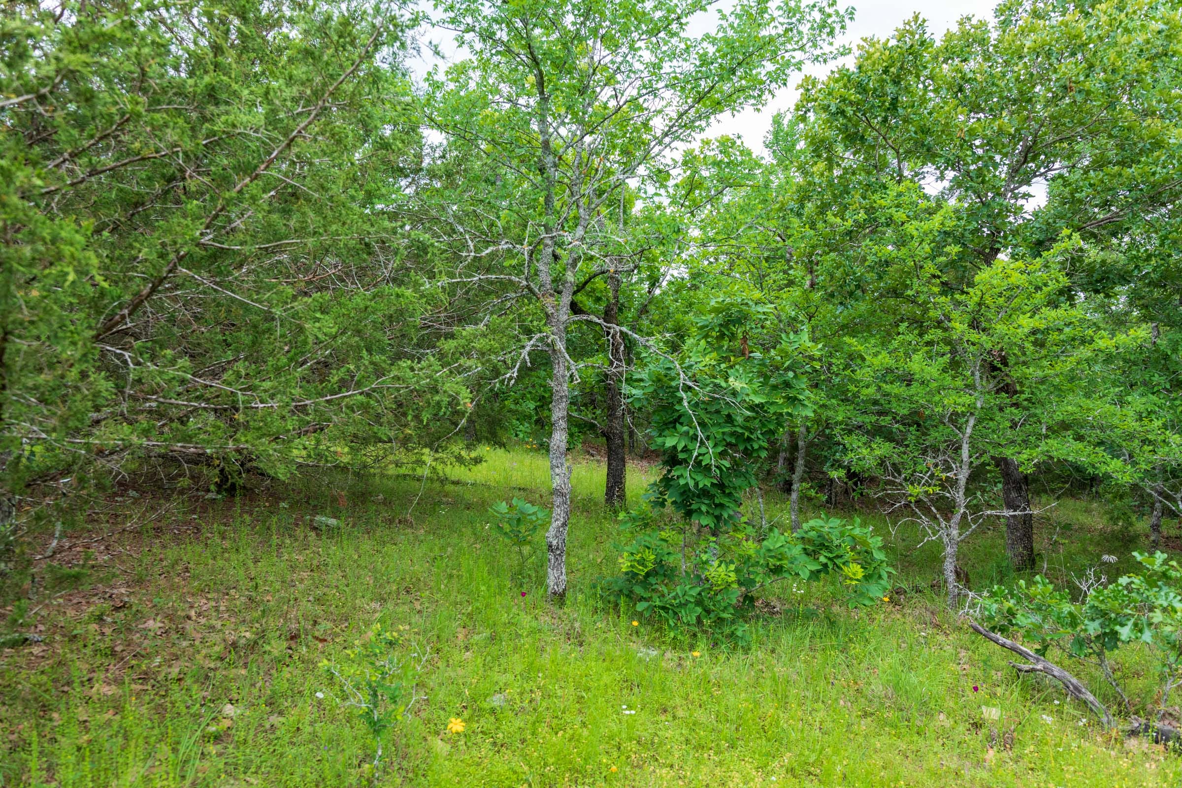 Falcon Crest Tract 32 photo 7