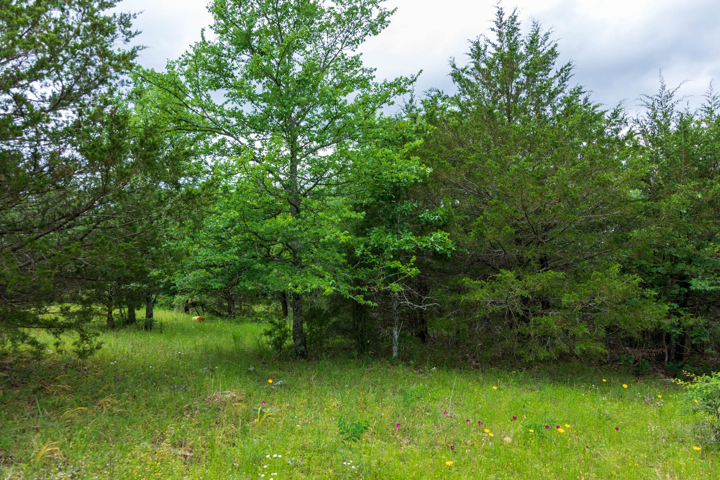 Falcon Crest Tract 32 photo 10