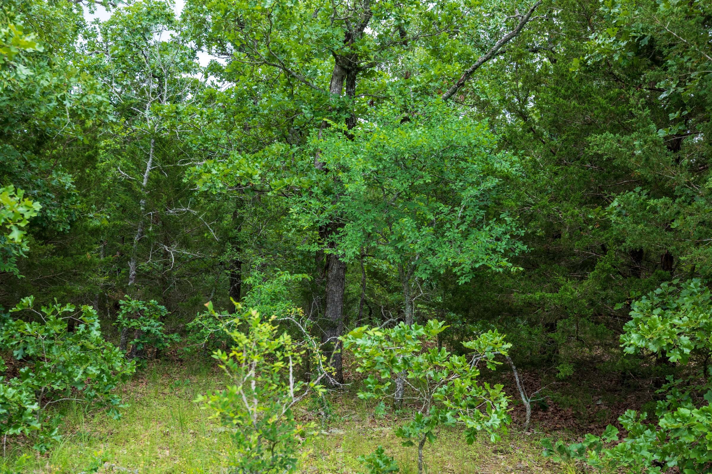 Falcon Crest Tract 32 photo 11