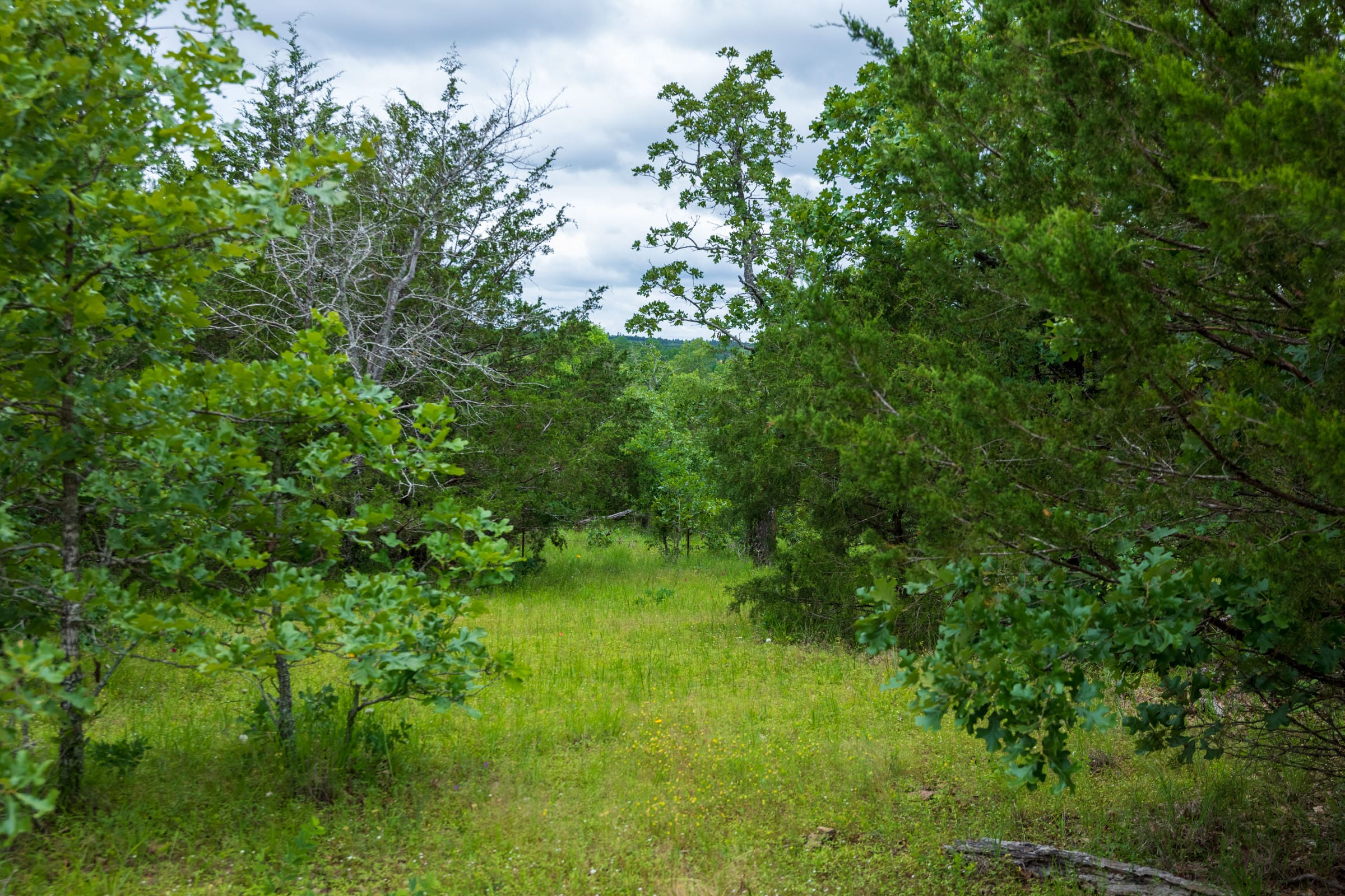 Falcon Crest Tract 32 photo 13