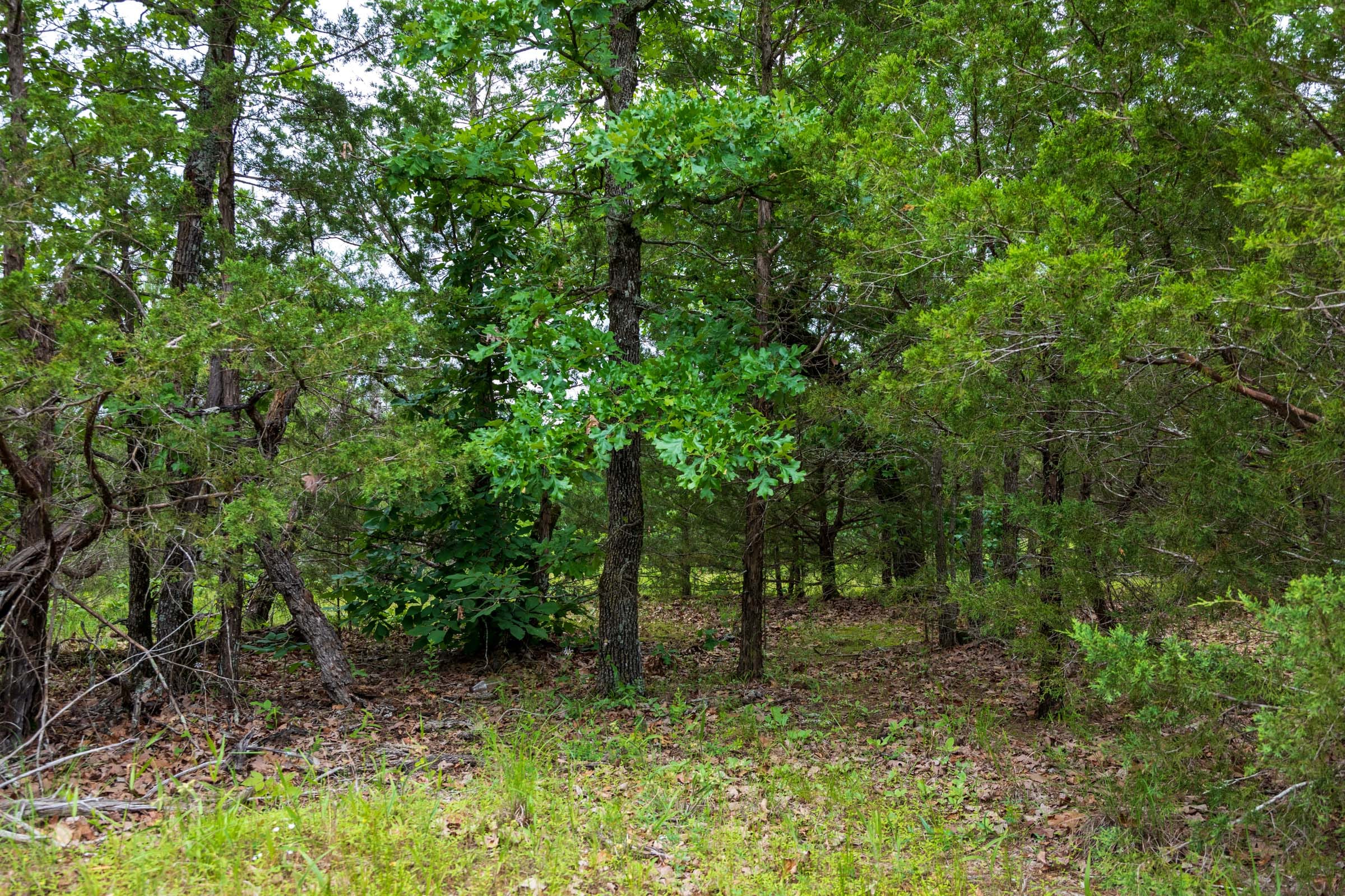 Falcon Crest Tract 32 photo 14