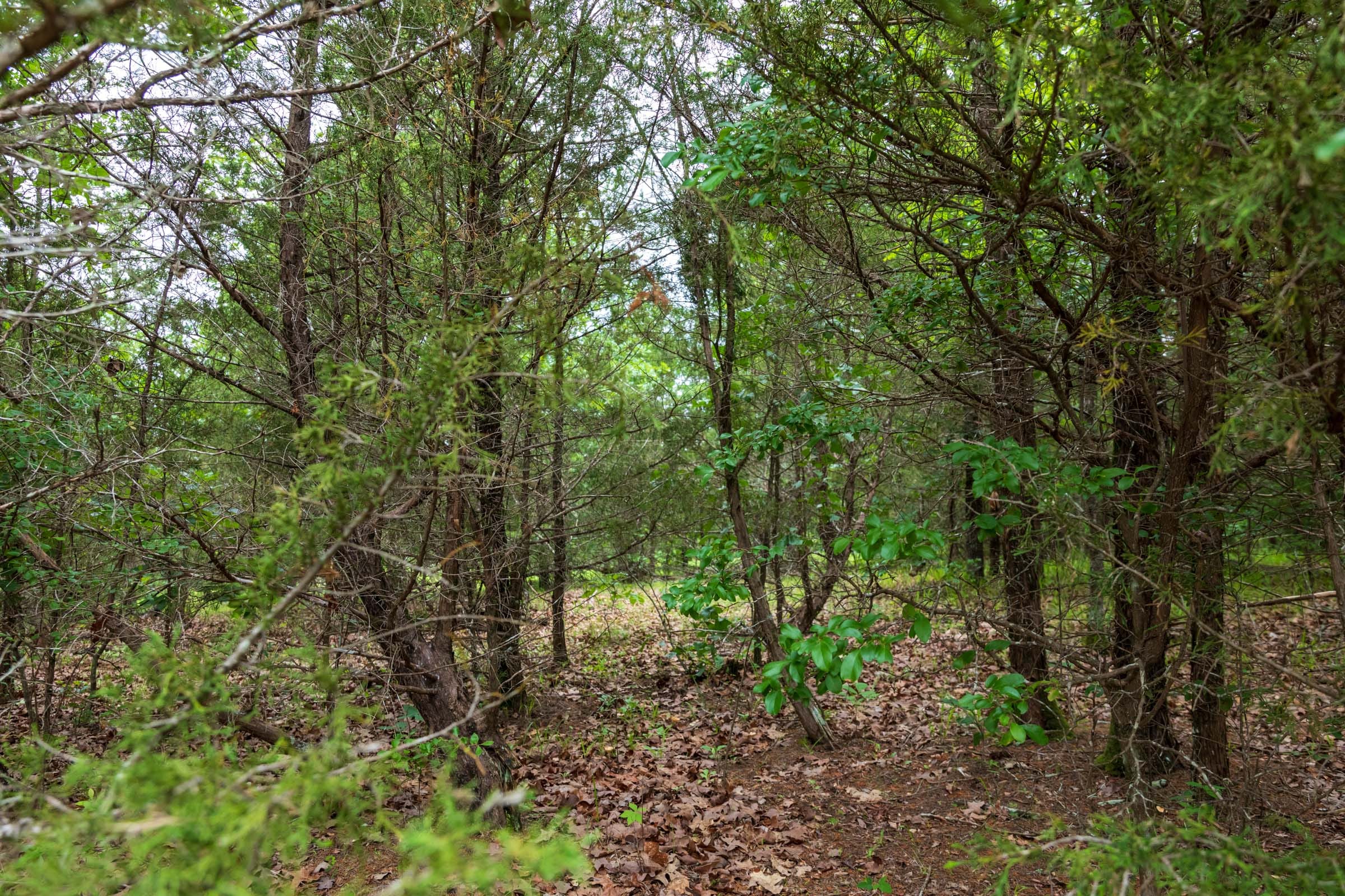 Falcon Crest Tract 32 photo 15